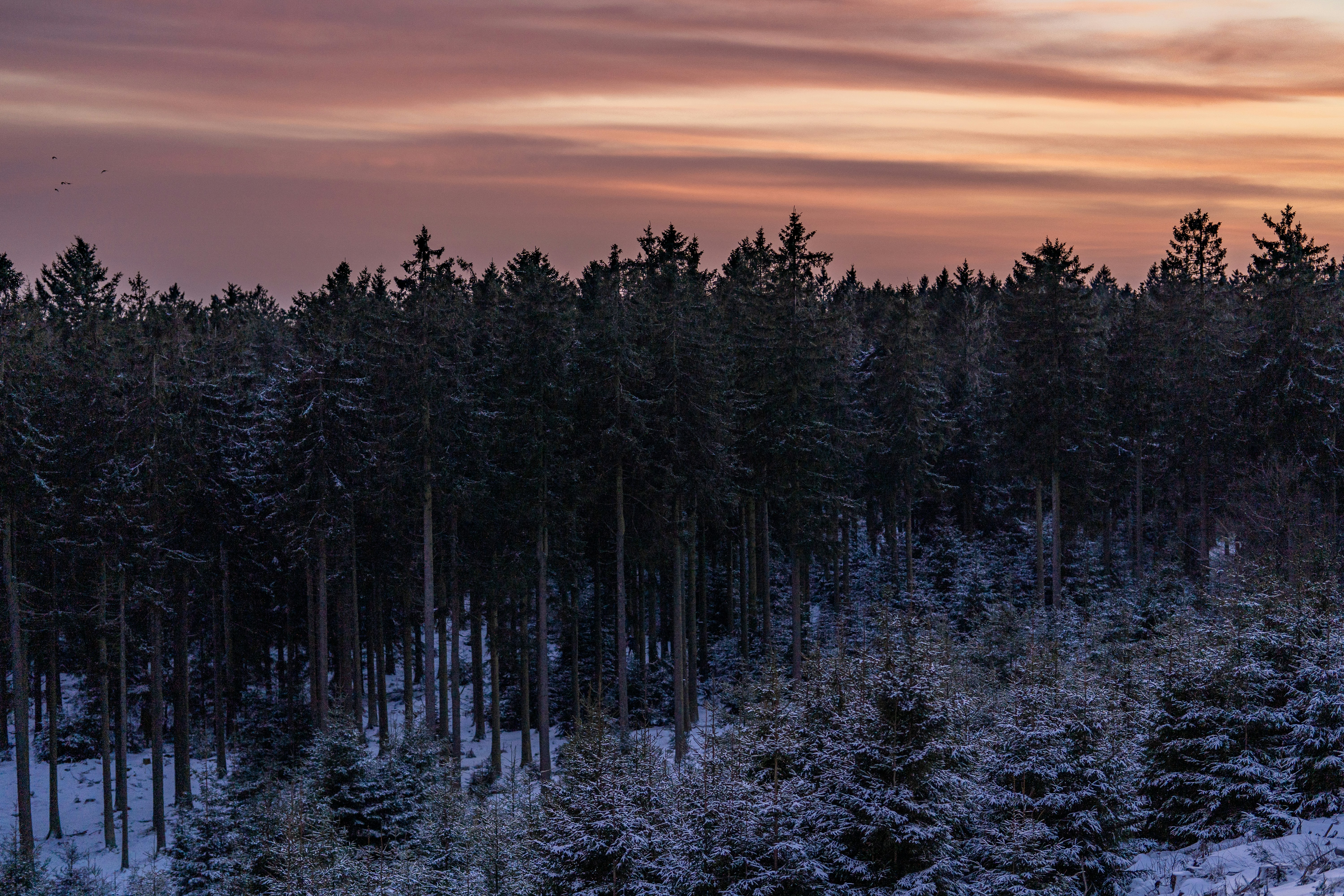 Photo by masoodaslami