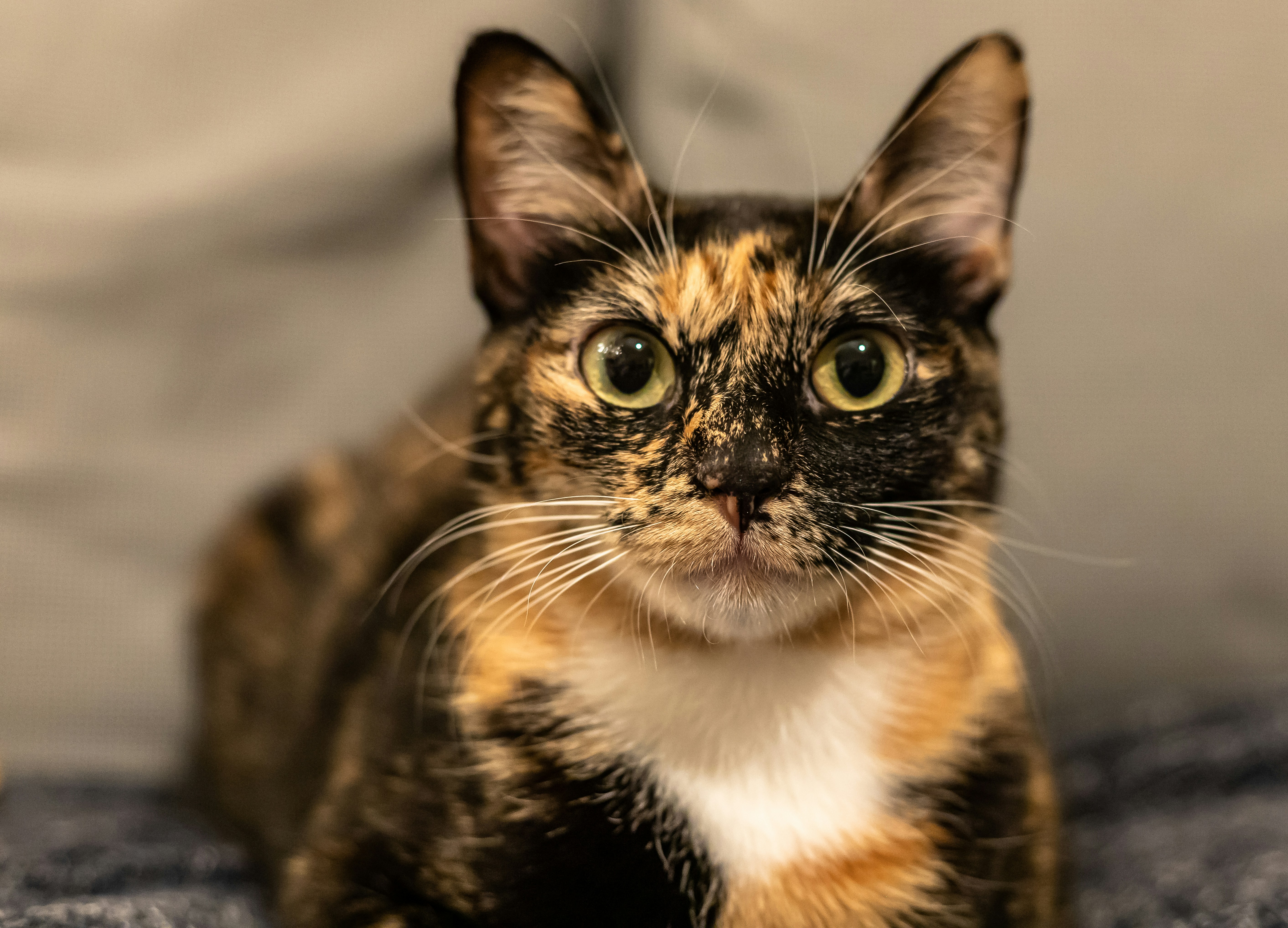 Photo by _staticvoid