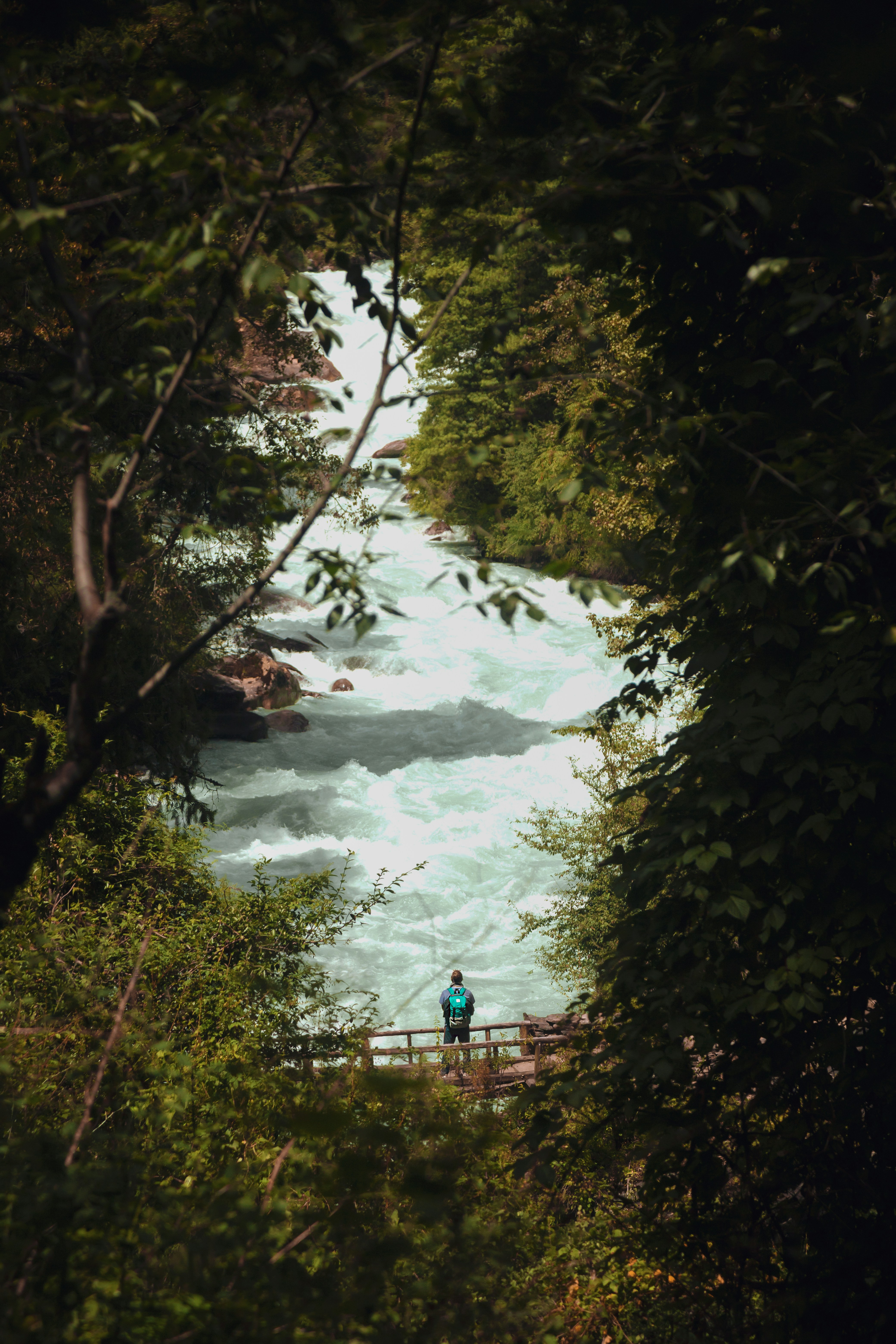 Photo by ashokjkshetri