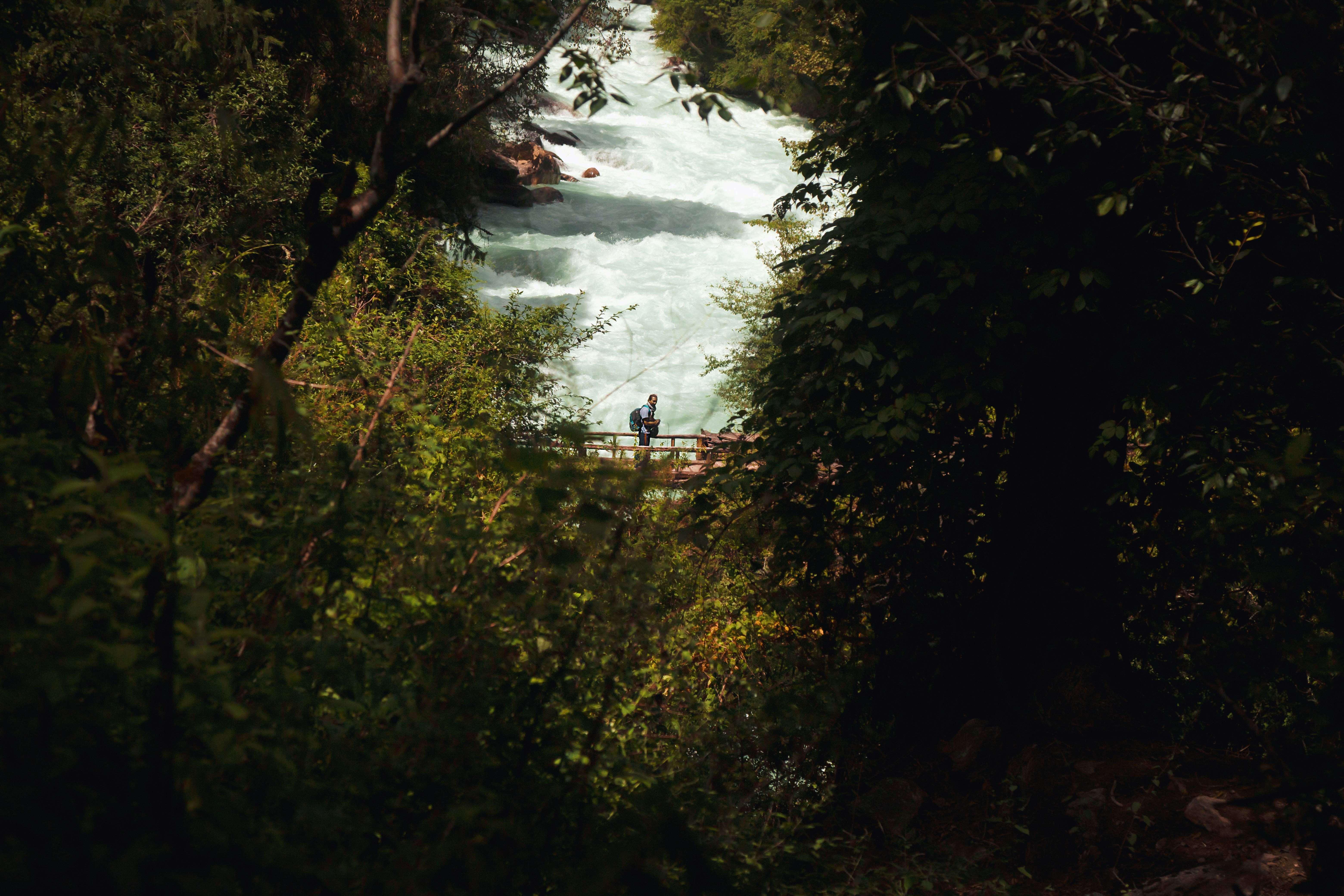 Photo by ashokjkshetri