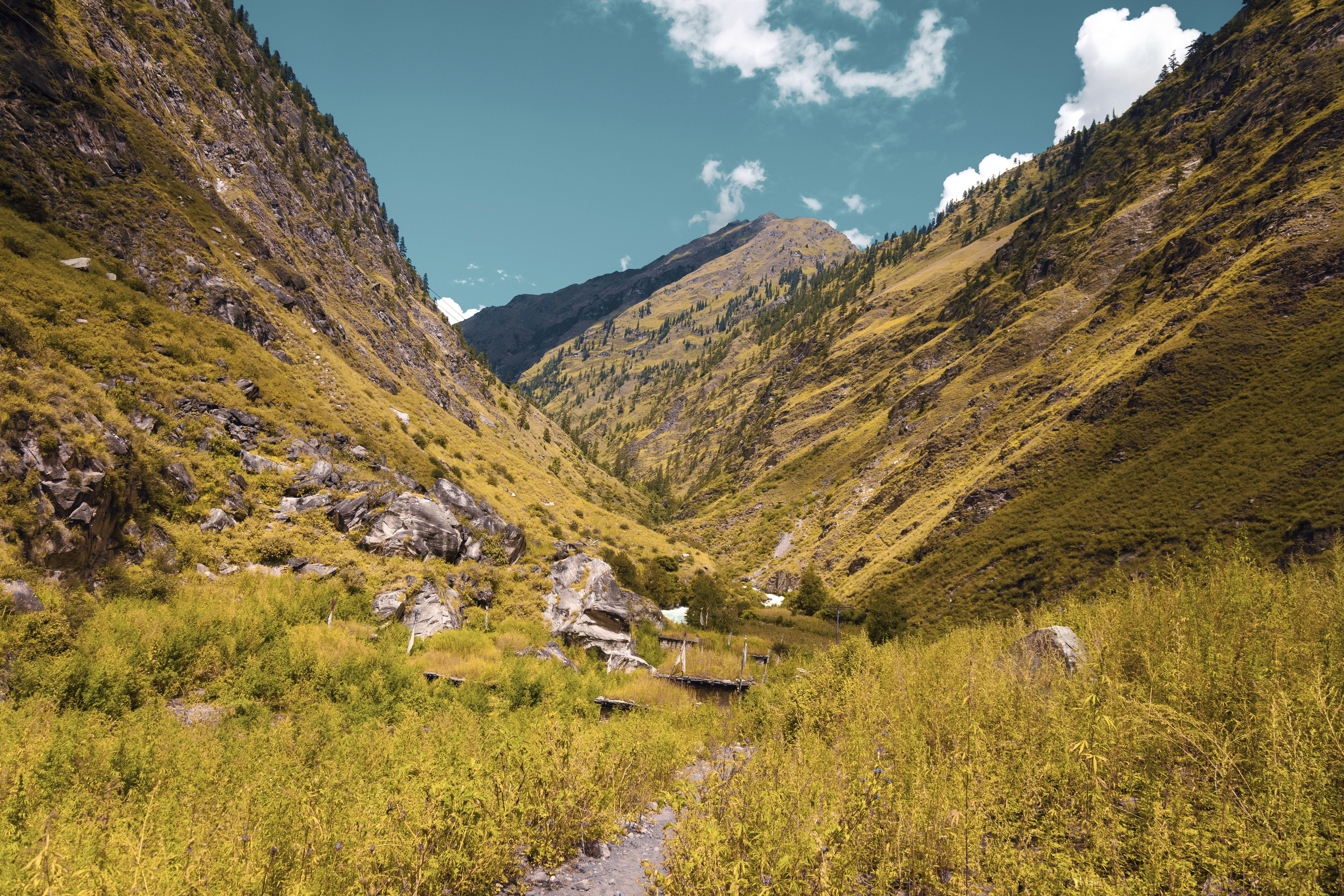 Photo by ashokjkshetri