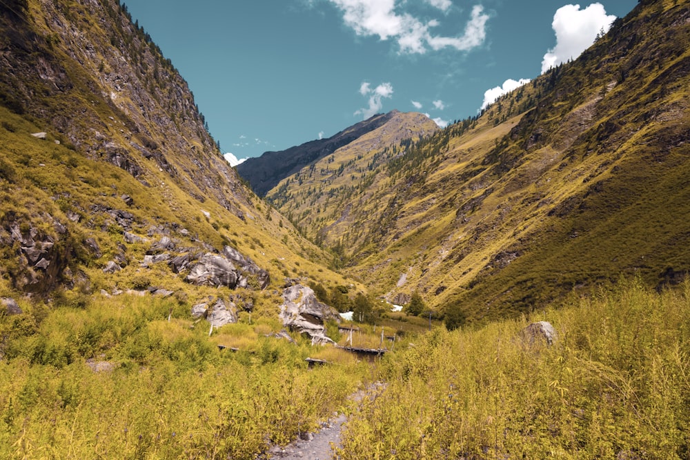 a mountain valley with a stream running through it