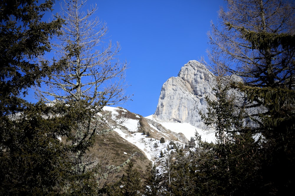 a view of a mountain through some trees