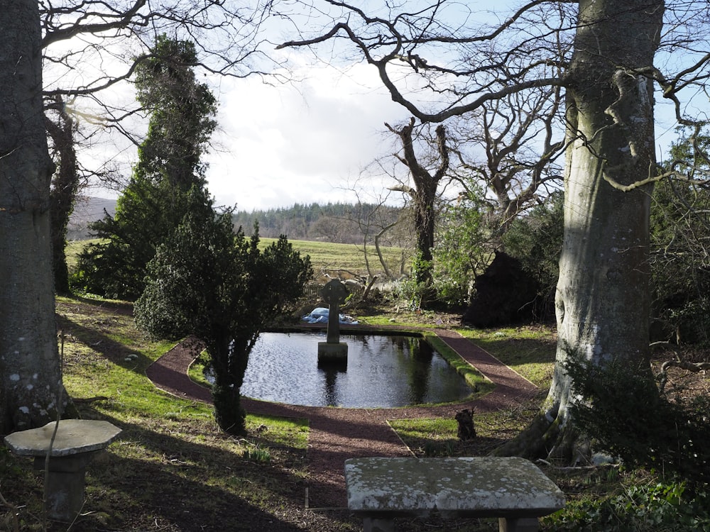 a pond surrounded by trees in a park