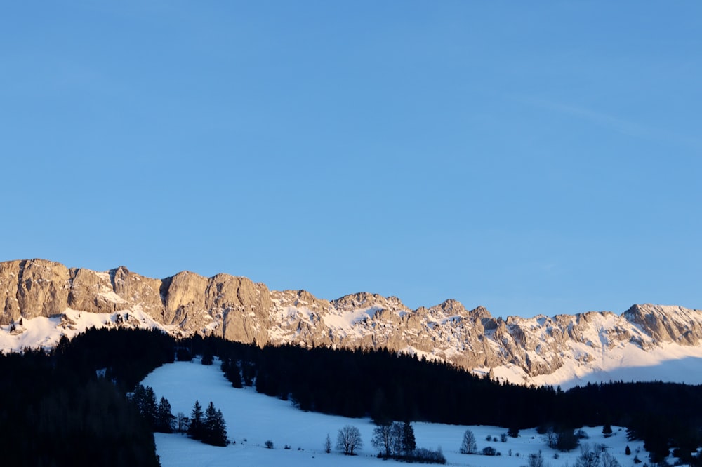 Una montagna innevata con alberi e uno sfondo del cielo