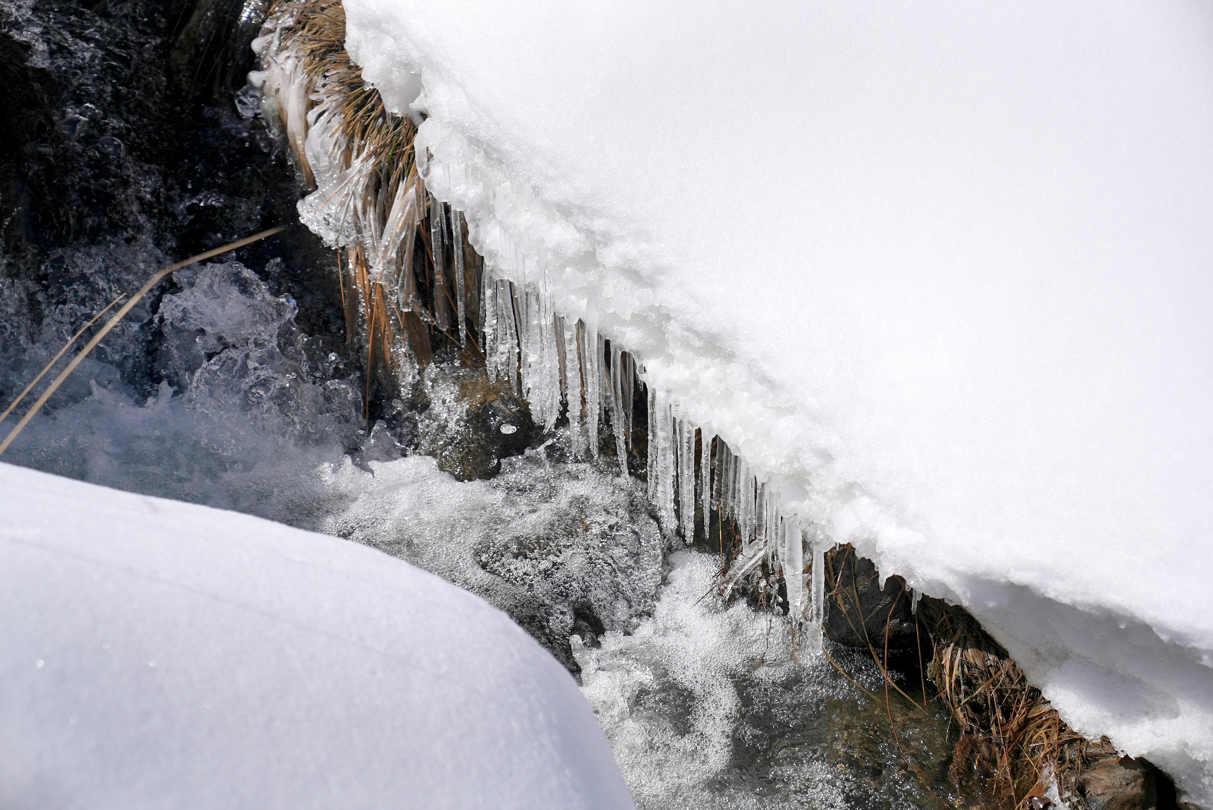 Photo by rafieeartist