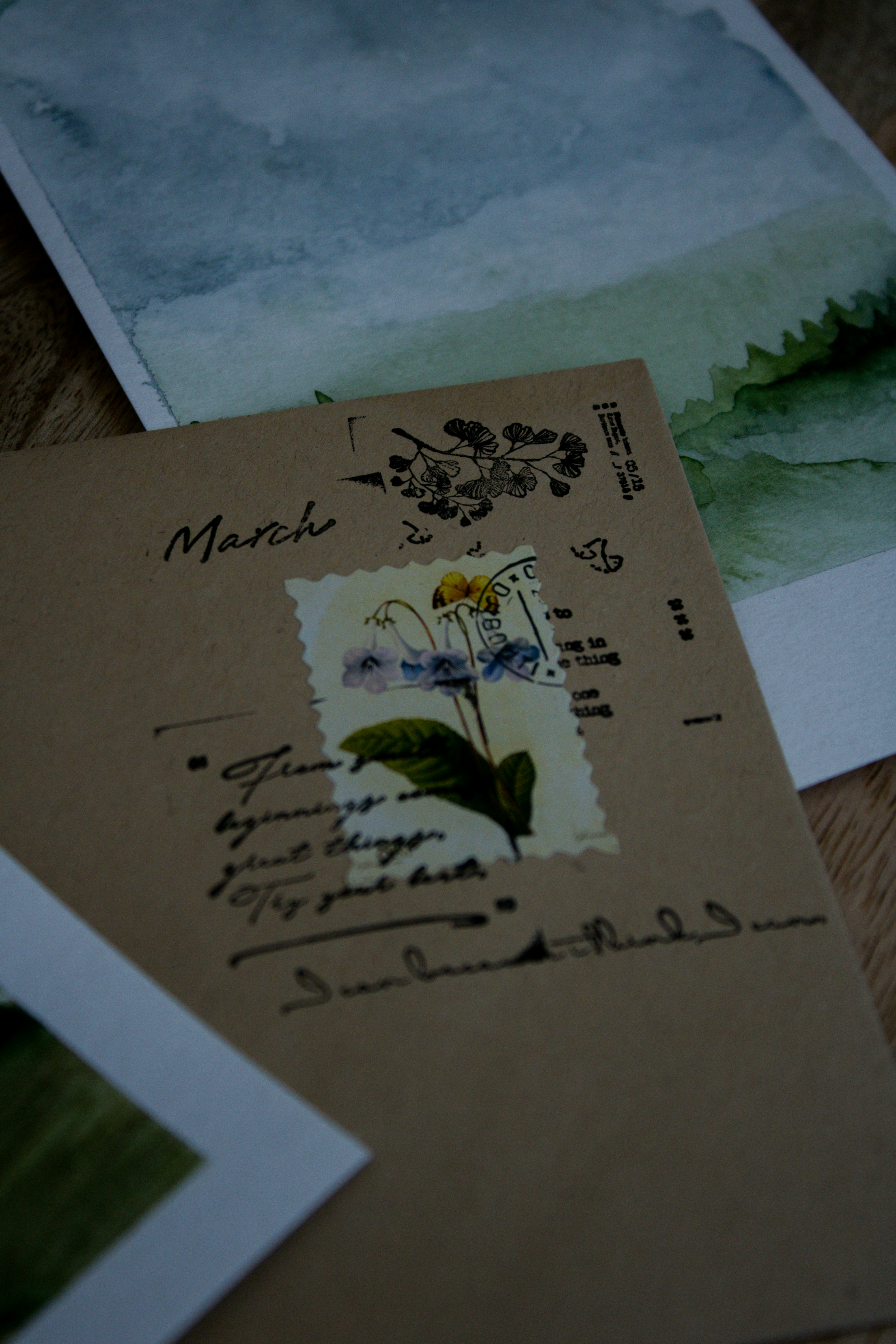 Photo by this_misty_garden