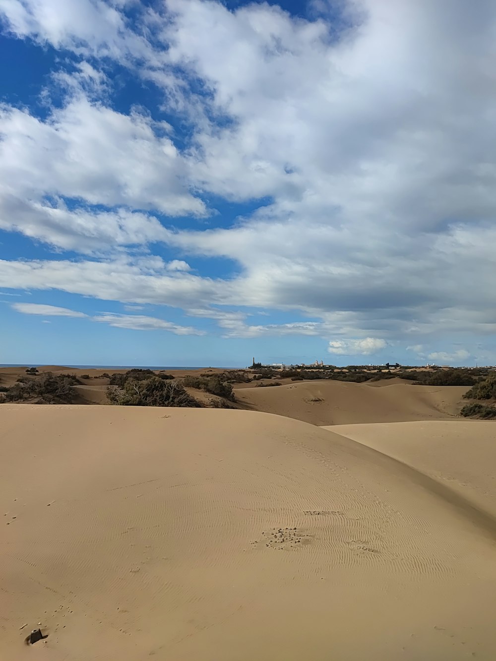 a person riding a horse in the desert