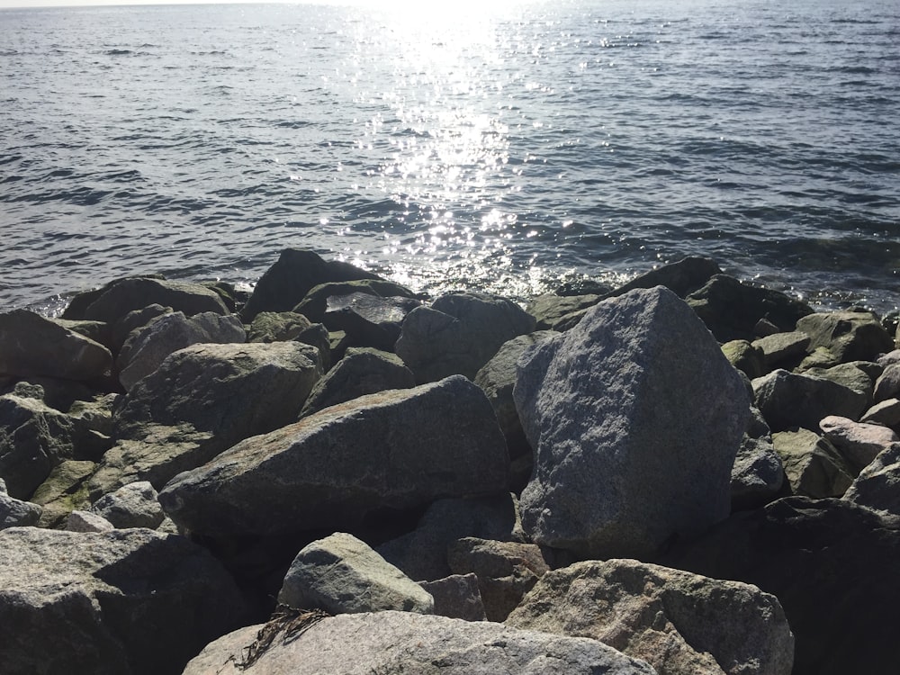 a bunch of rocks that are by the water