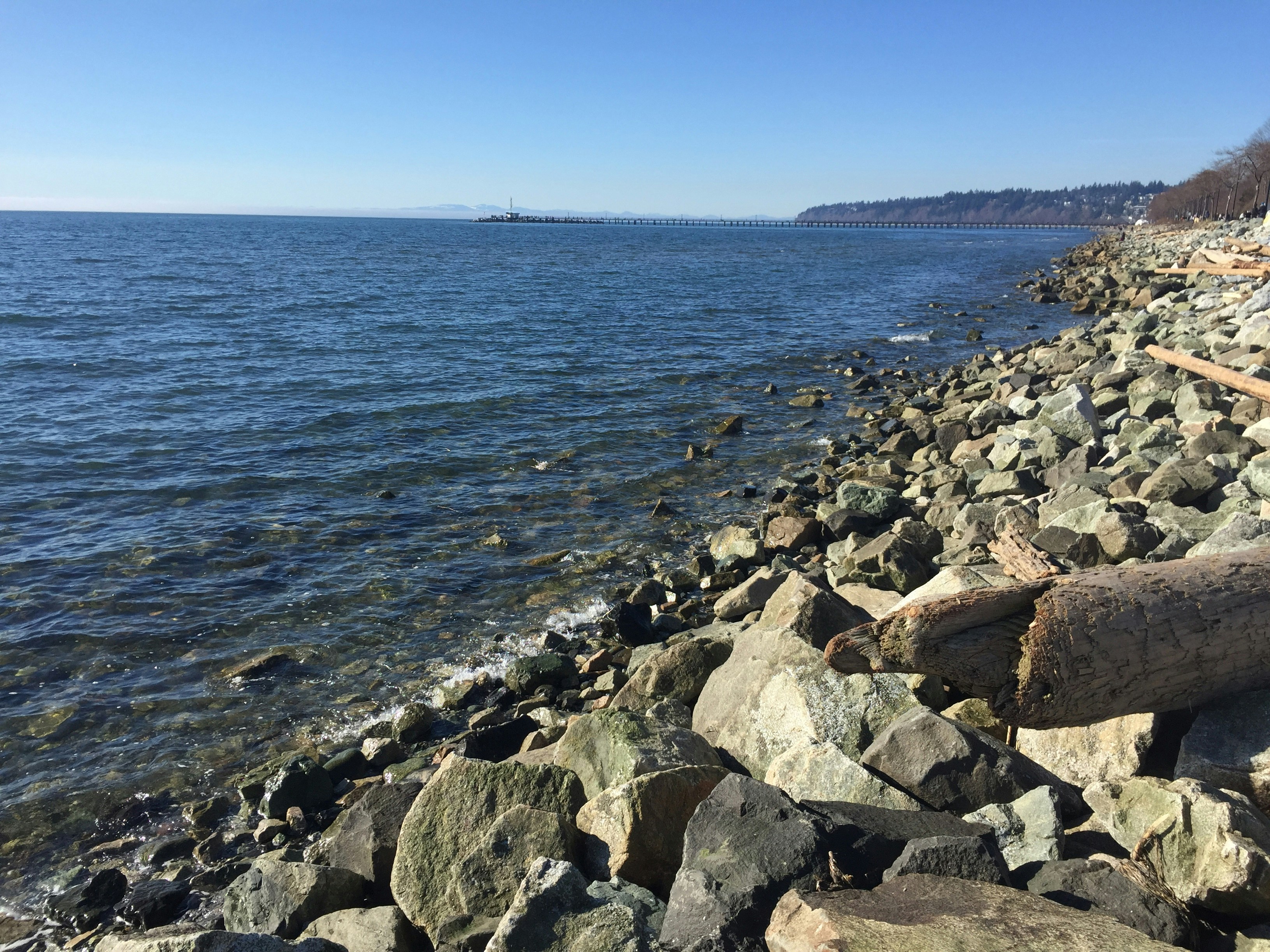 a view of the ocean from a rocky shore