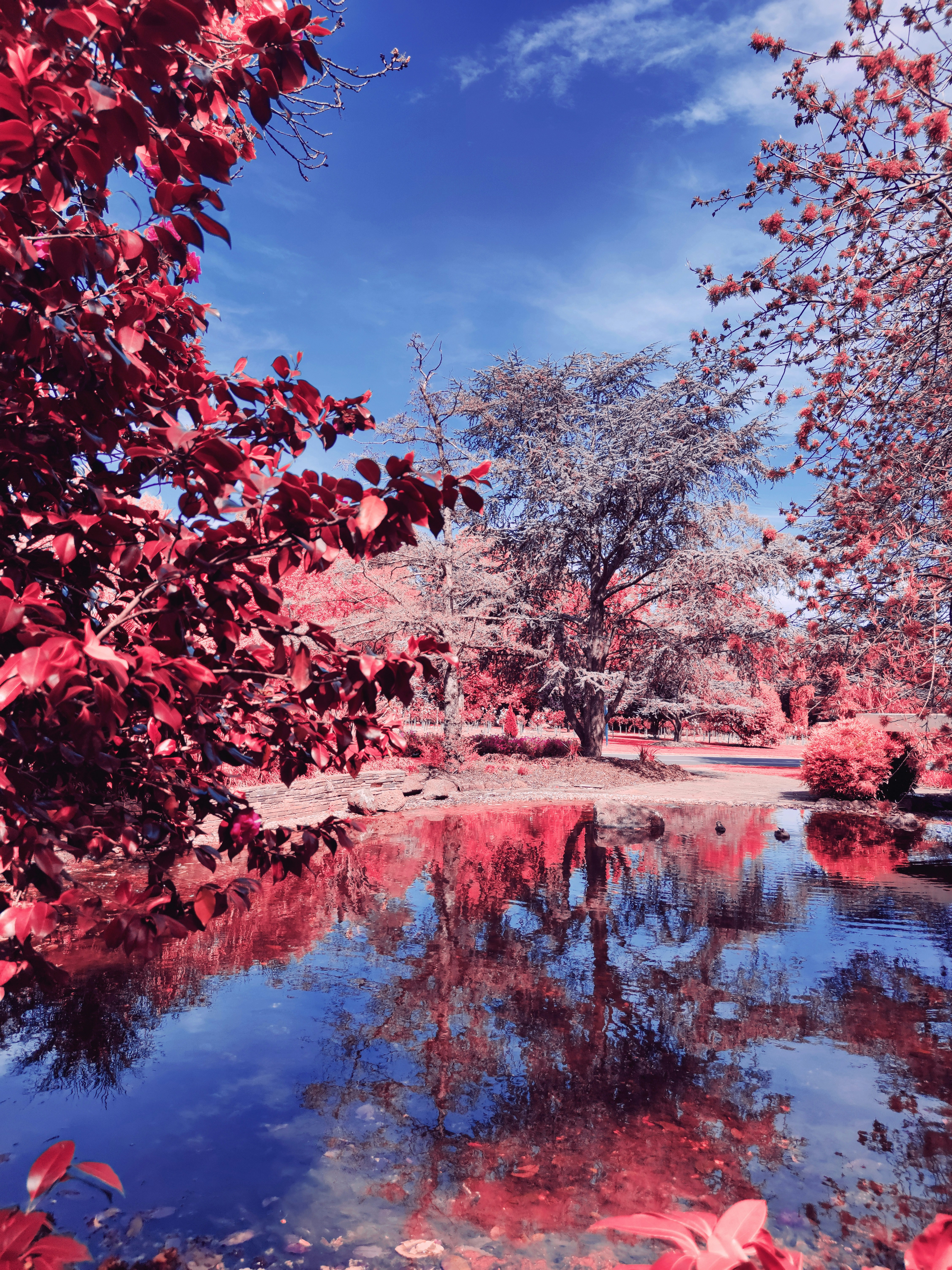 Photo by ivyaralianizar