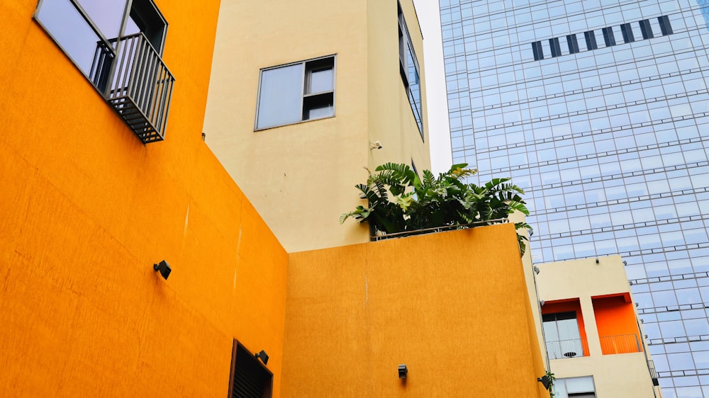 a tall yellow building with a plant on top of it