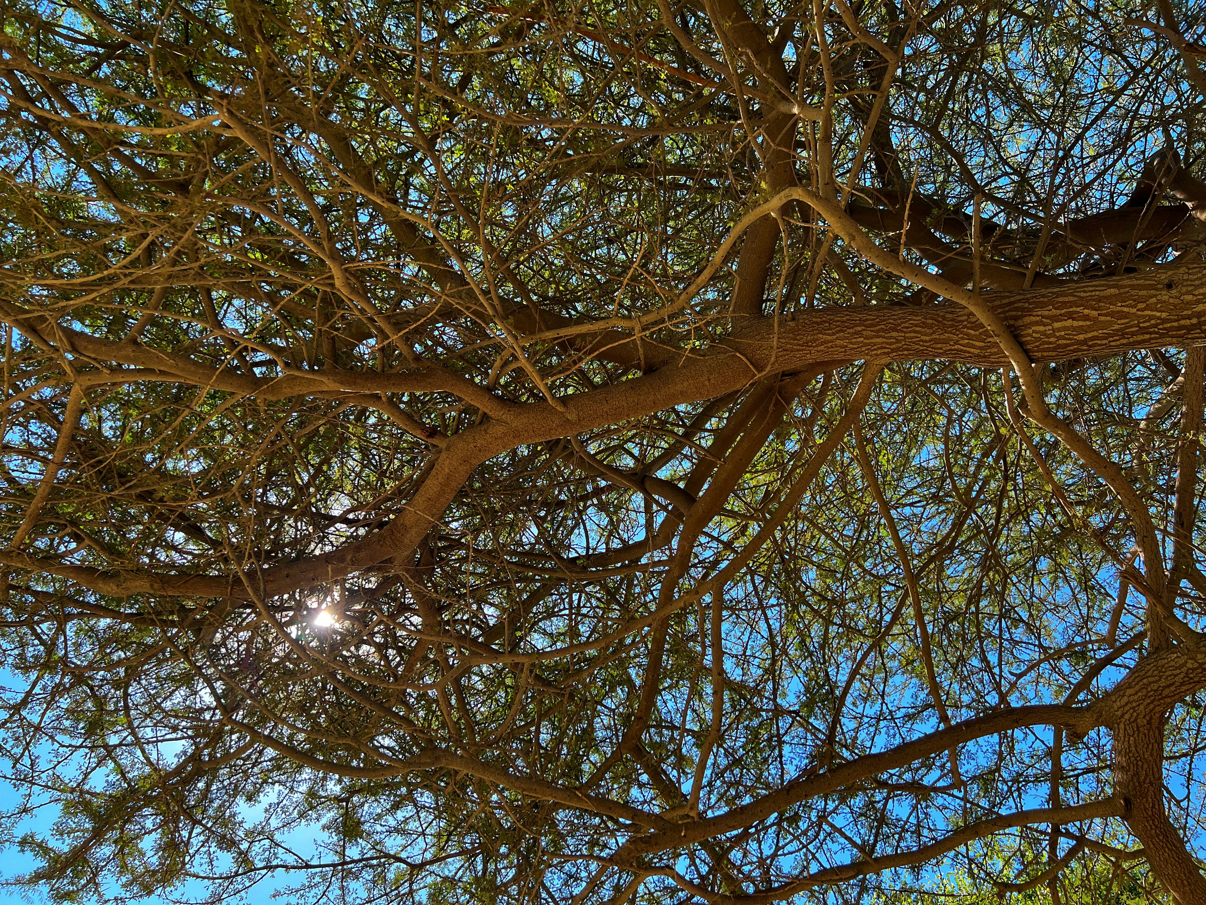 Photo by masarathalkhaili