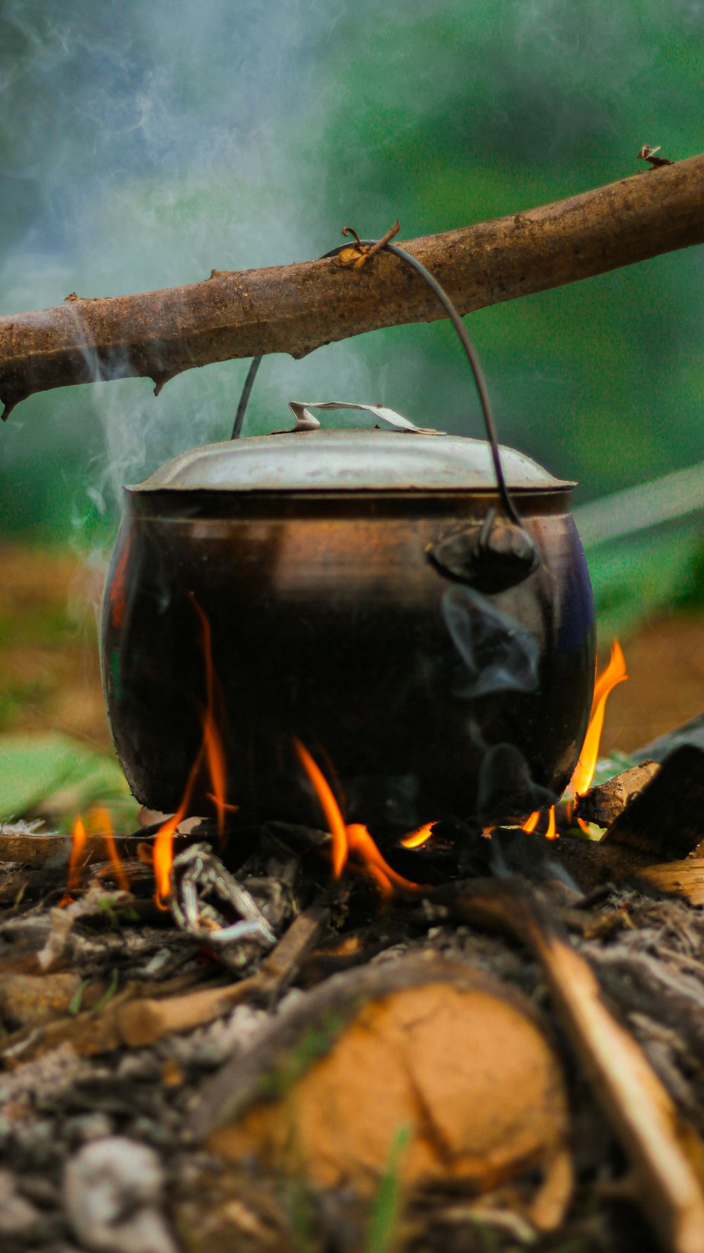 a pot sitting on top of a fire next to a log