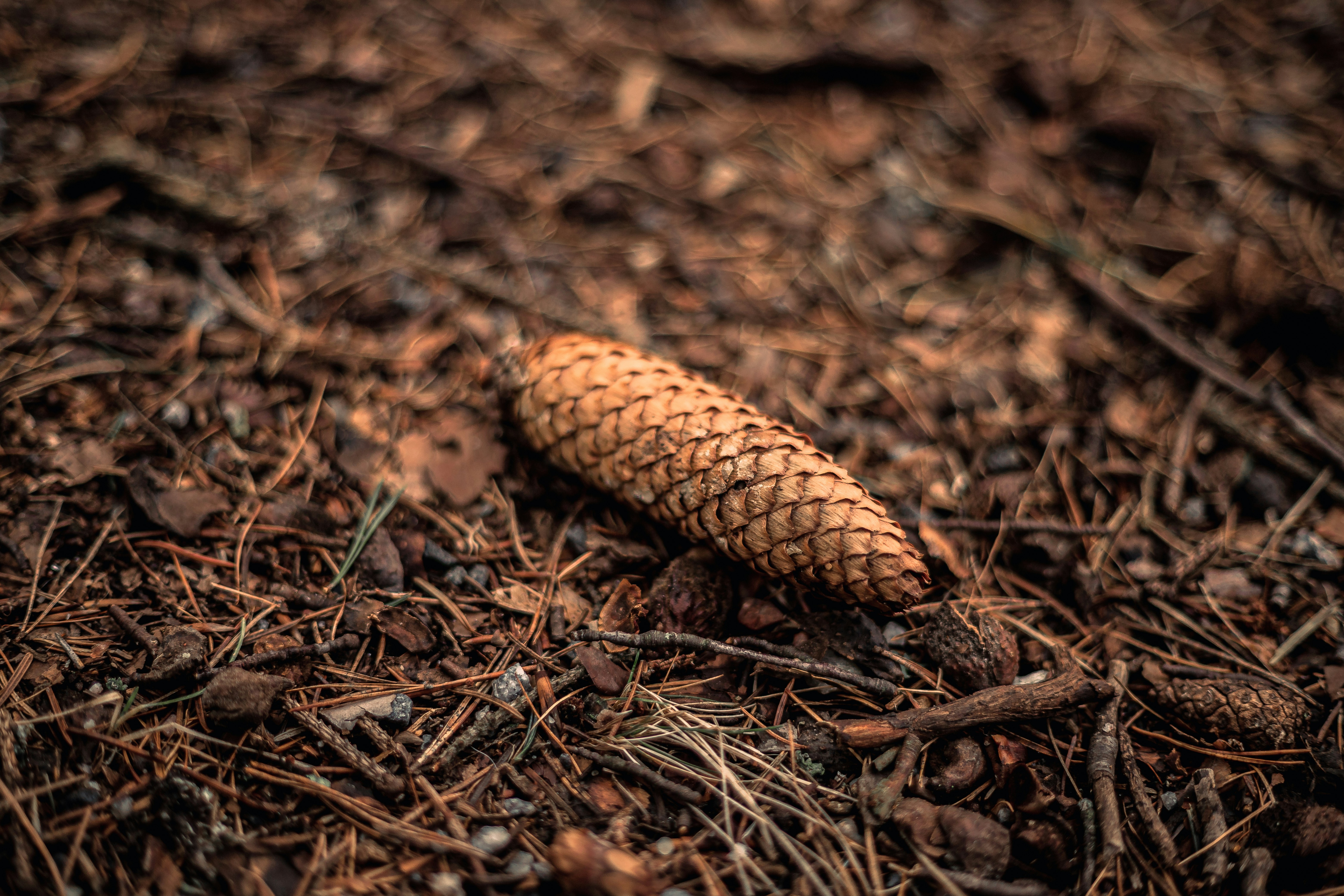 Photo by _staticvoid