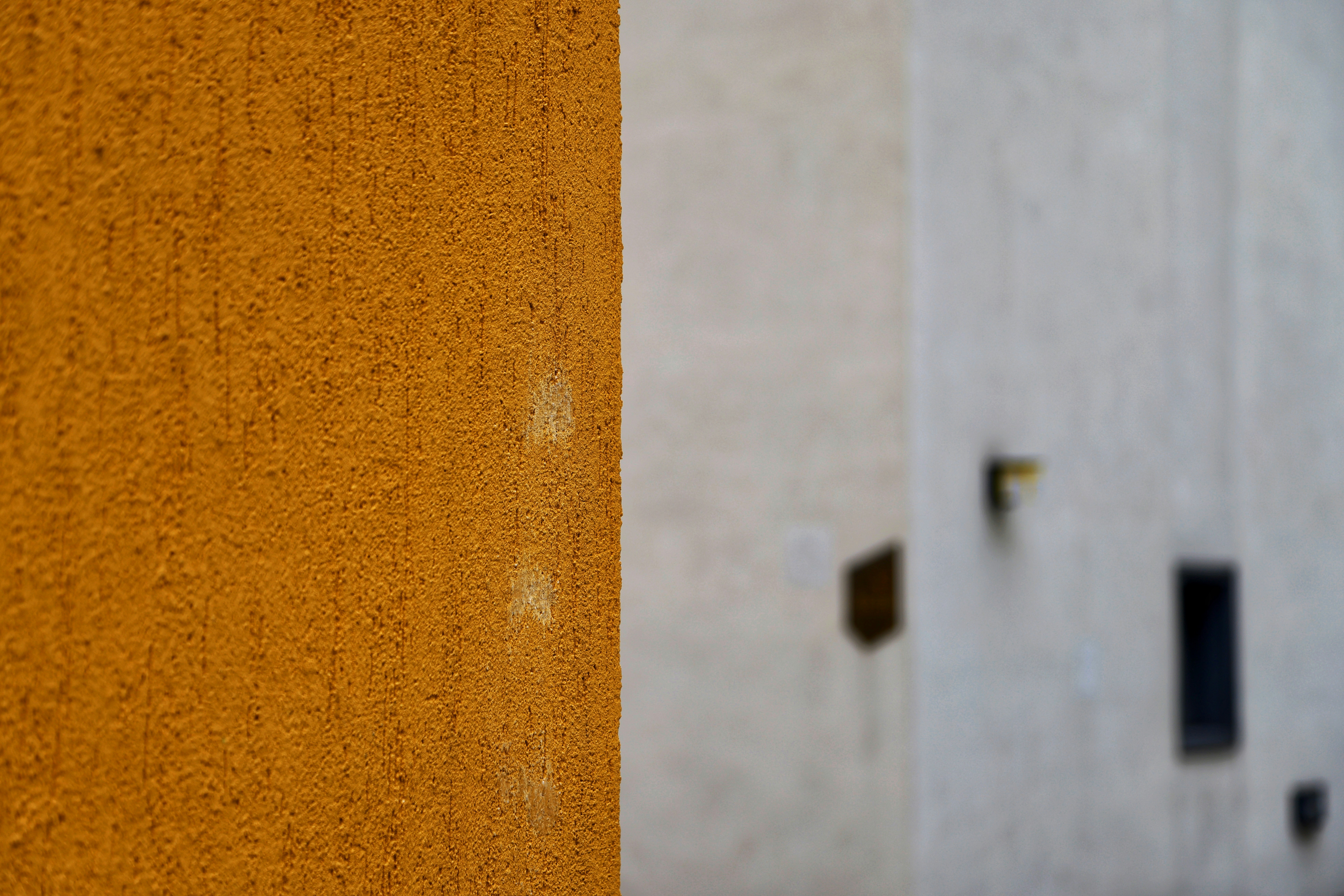 Photo by dickenslin76