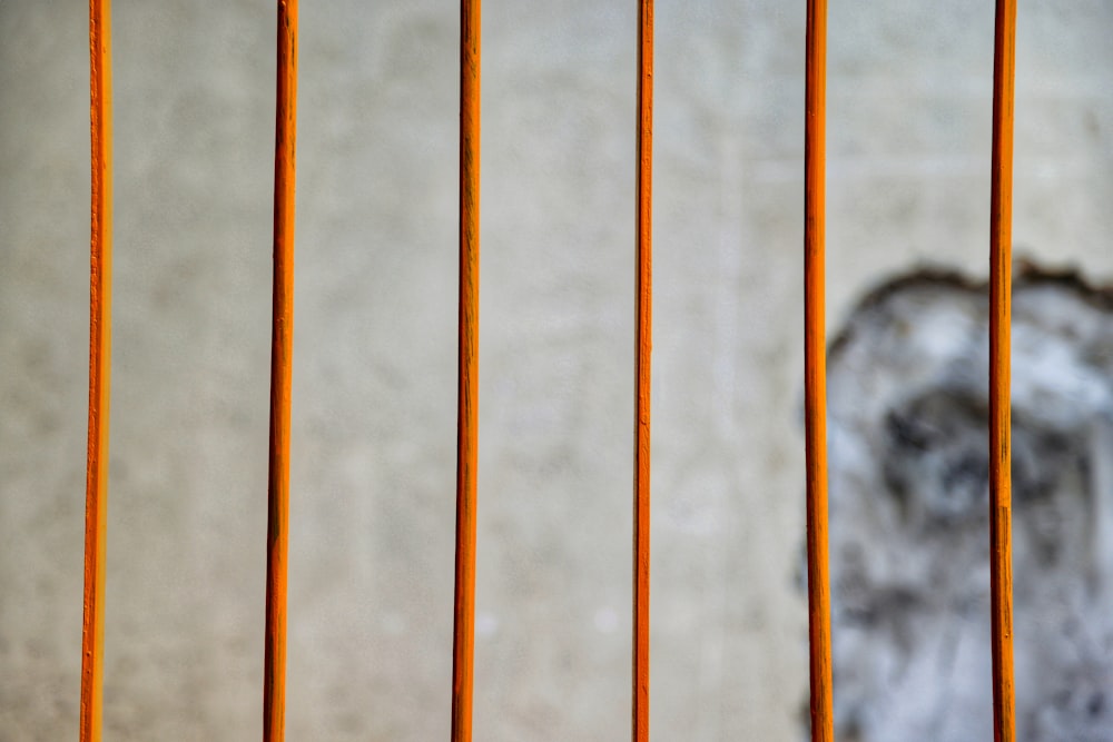 a close up of some orange bars on a wall