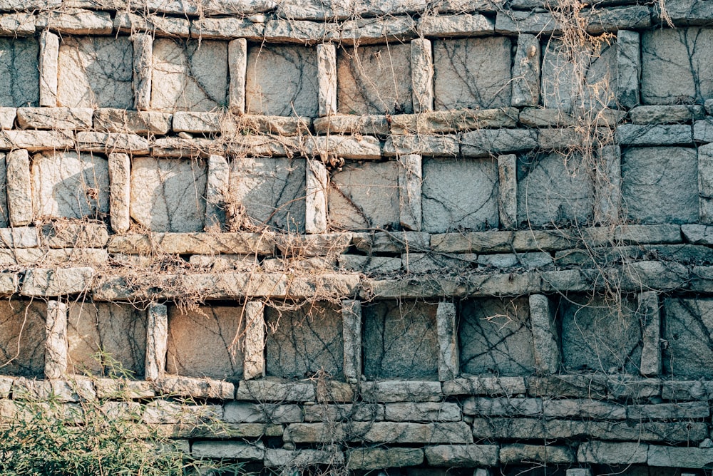 a wall made of bricks with vines growing on it