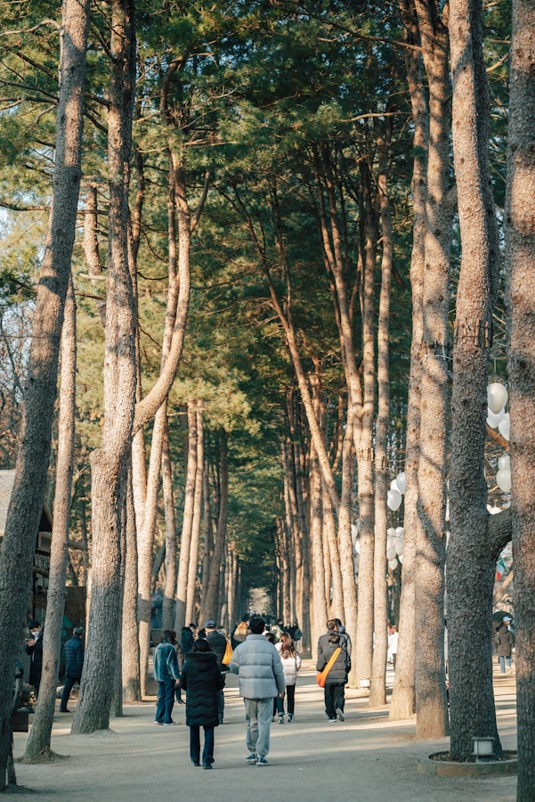 Jalur pepohonan di Nami Island menjadi destinasi favorit dalam itinerary alam korea