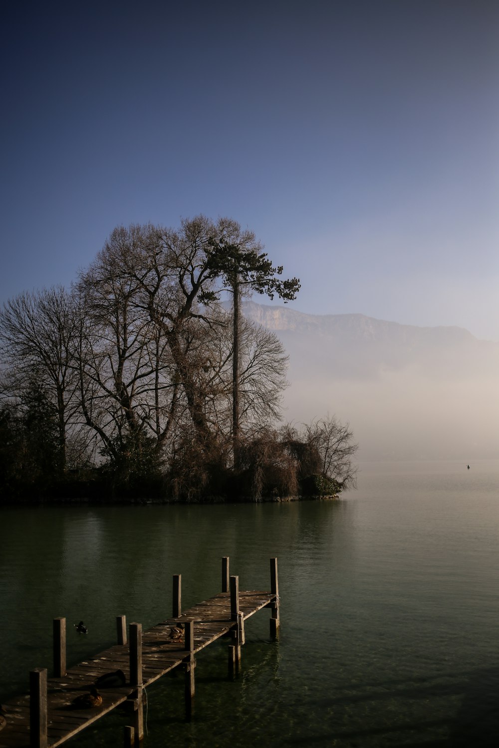 a dock in the middle of a lake on a foggy day