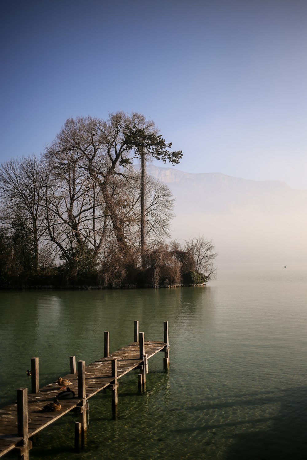 a dock in the middle of a body of water