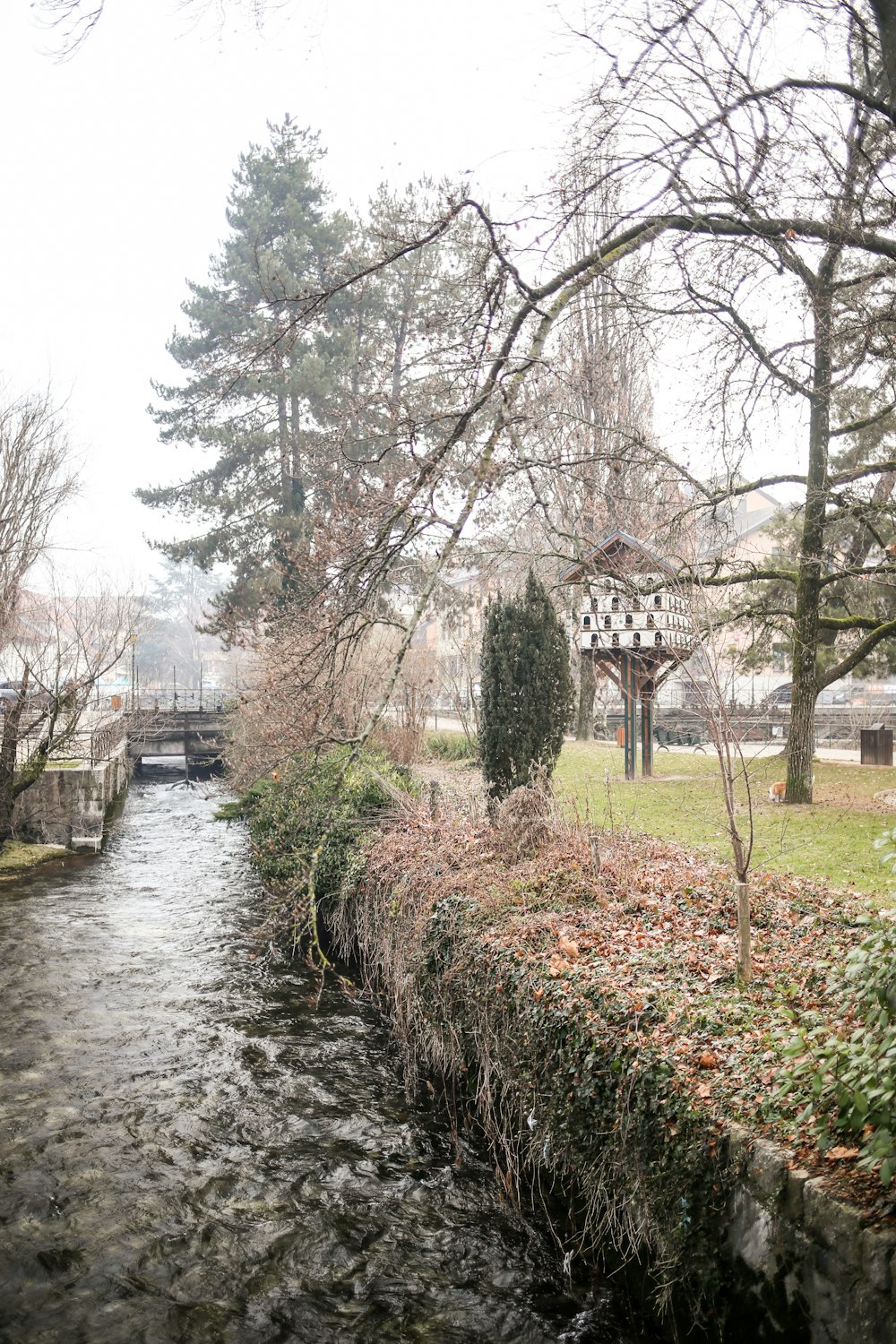 a river running through a park next to a forest