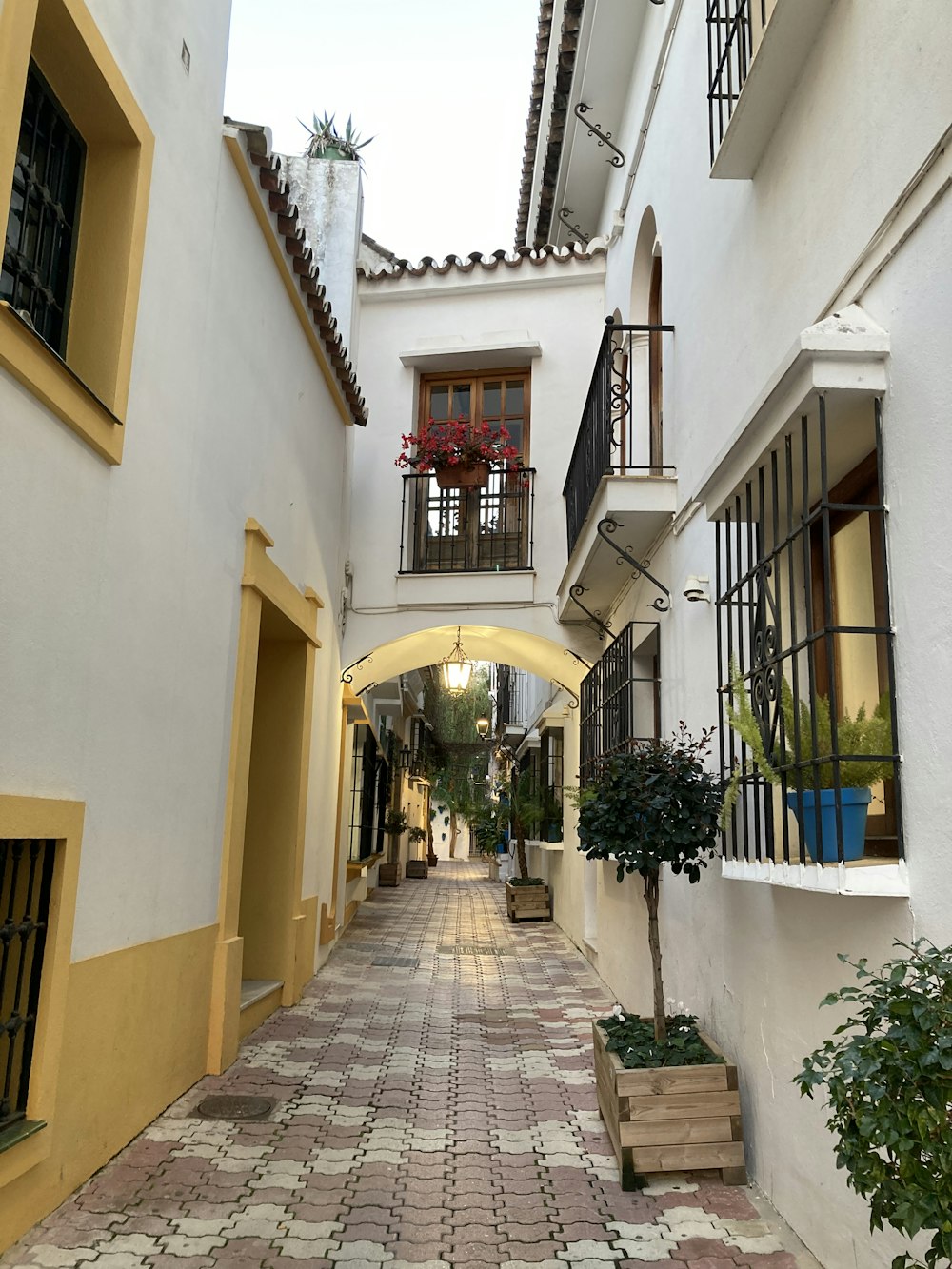 a narrow alley with a few plants and potted plants