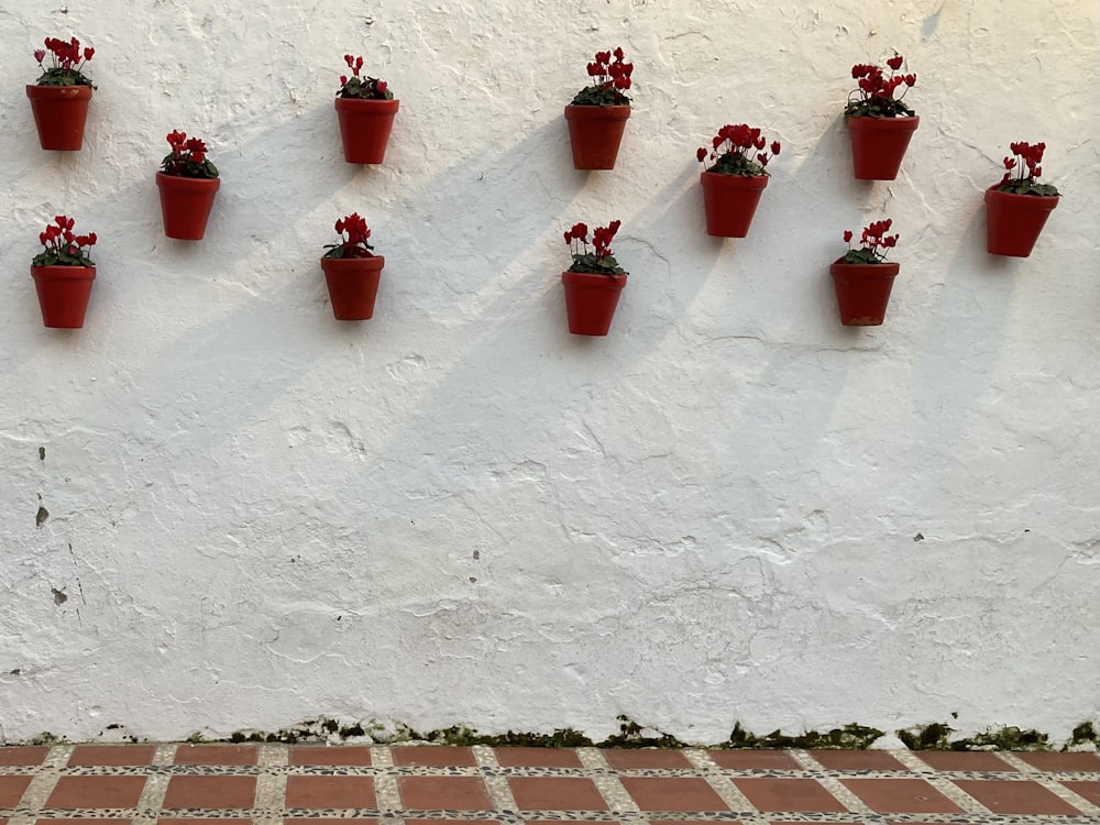 a white wall with a bunch of red flowers on it