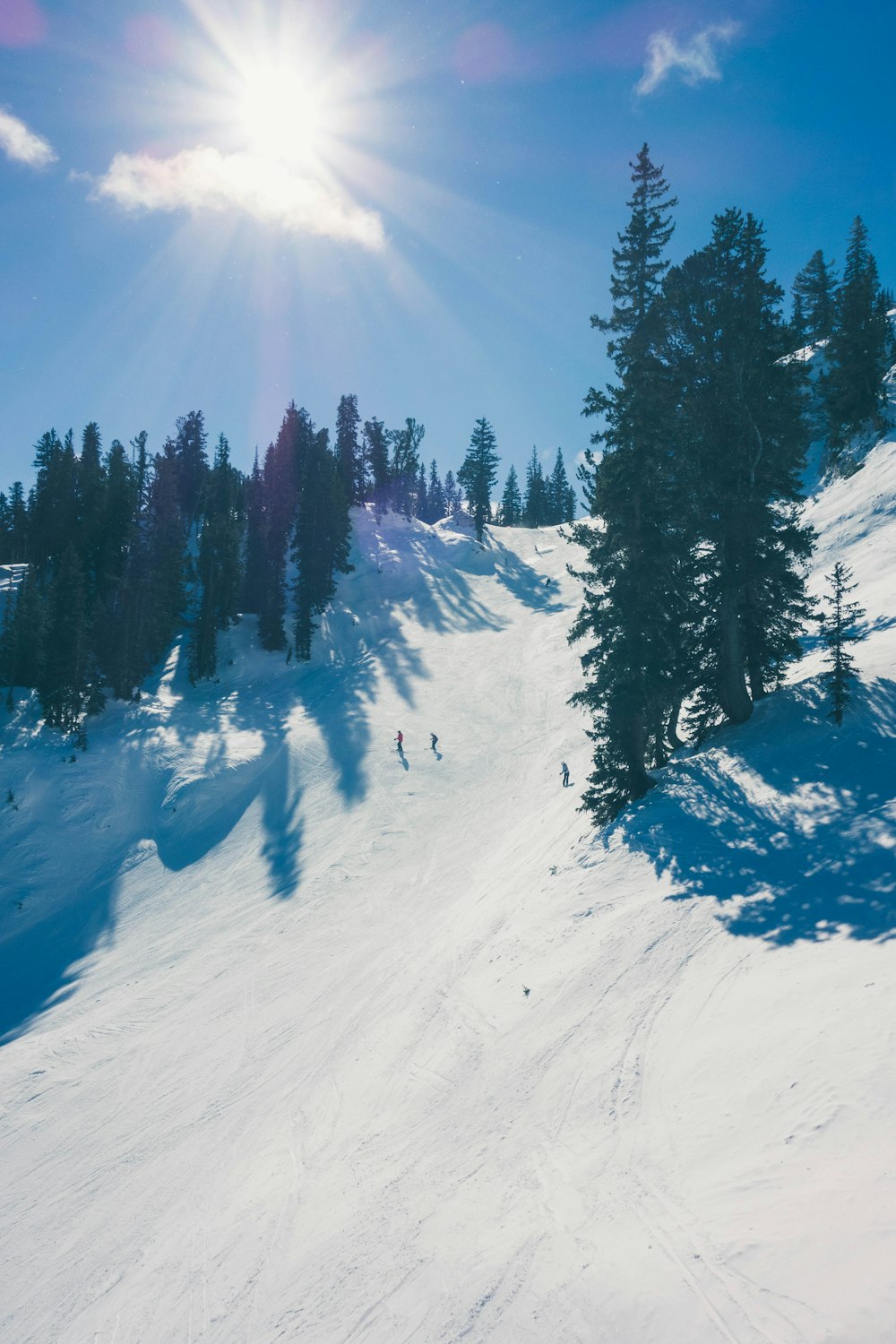 Un gruppo di persone che cavalcano gli sci lungo un pendio innevato