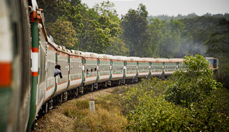 a train traveling through a lush green forest