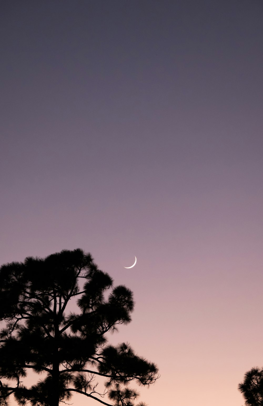 the moon is setting in the sky above the trees