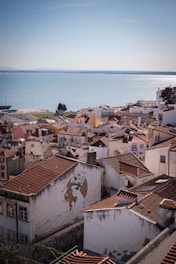 a view of a city next to a body of water