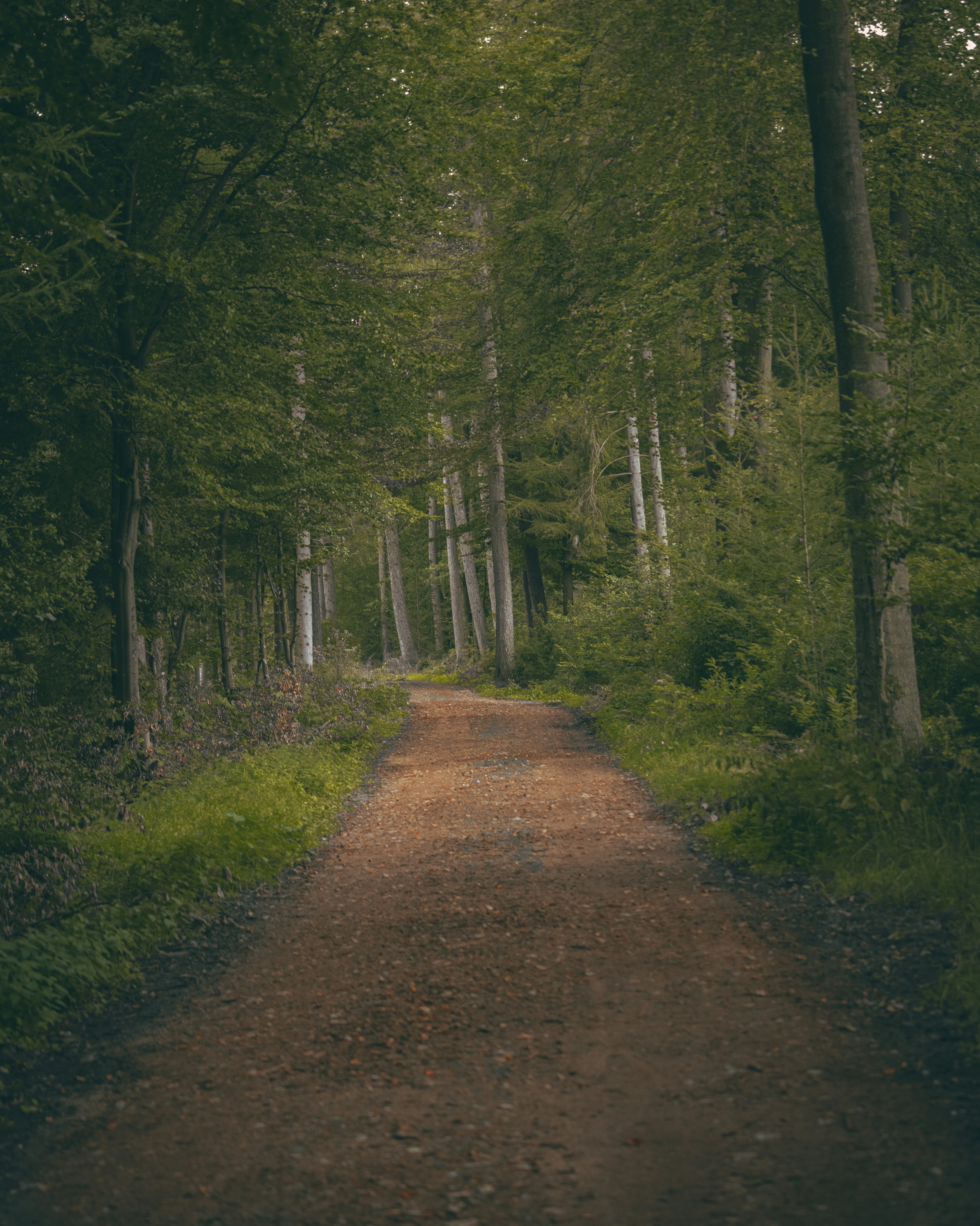 Photo by viklukphotography