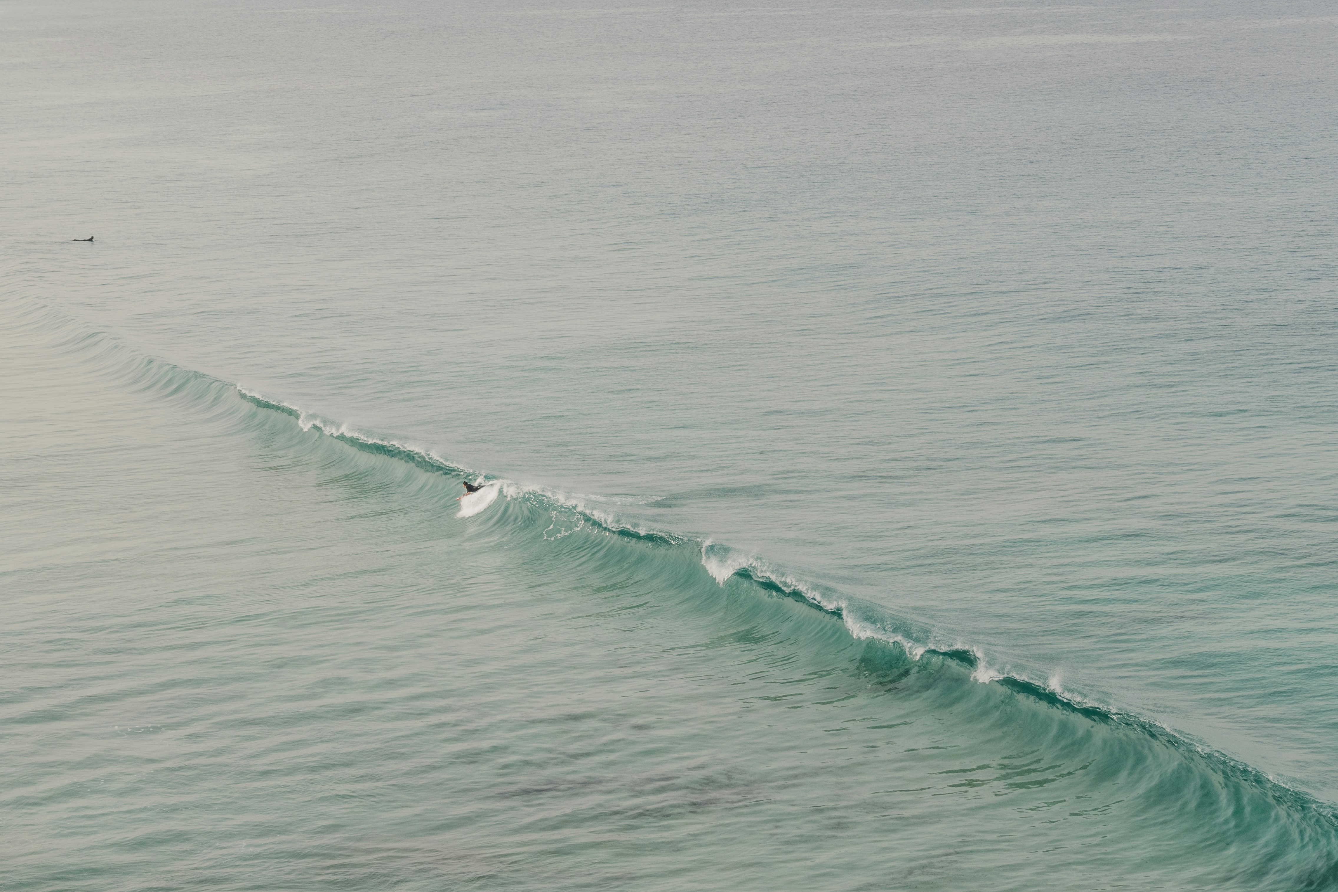 Photo by the_minimalist