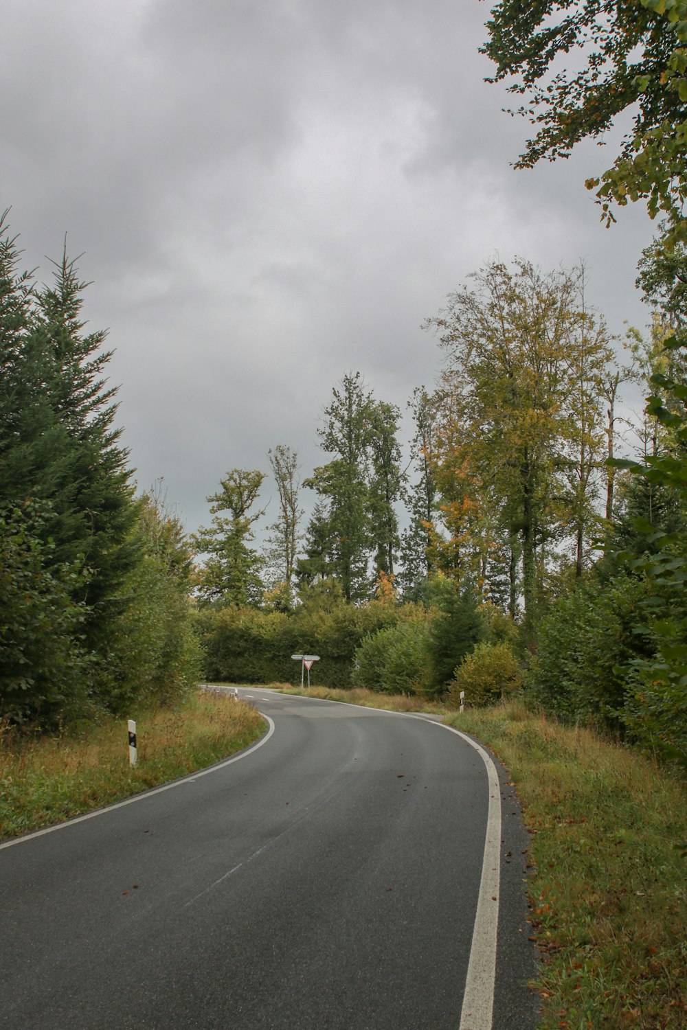 a curved road in the middle of a forest
