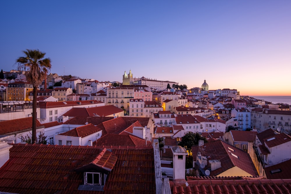 a sunset view of a city with rooftops and palm trees