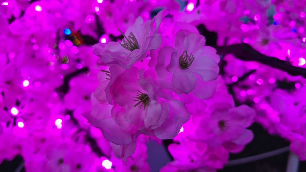 a bunch of pink flowers that are in a vase