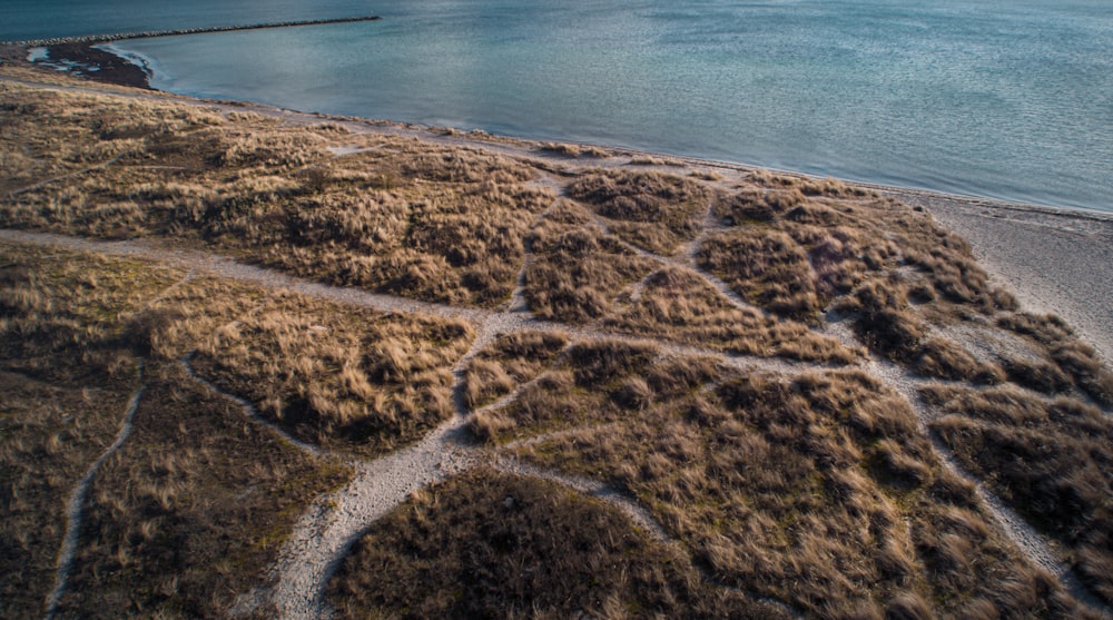 a sandy beach next to the ocean