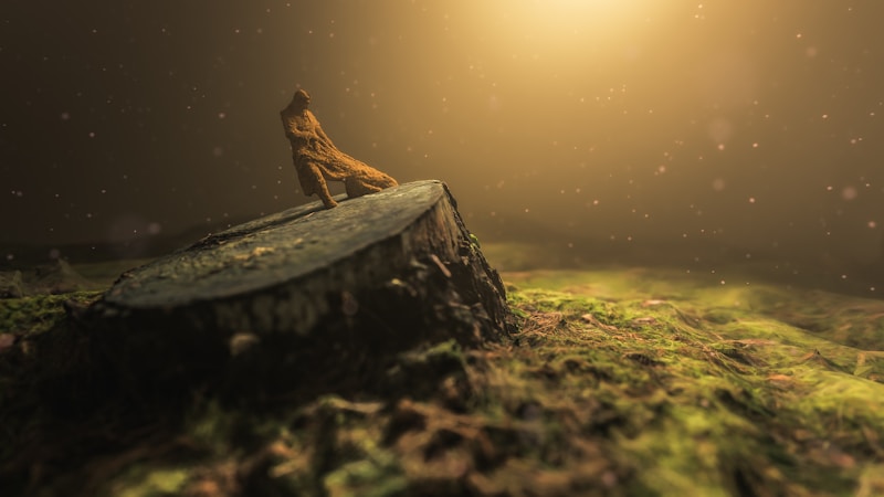 Embracing the Quantum Journey: A Reflective Exploration
