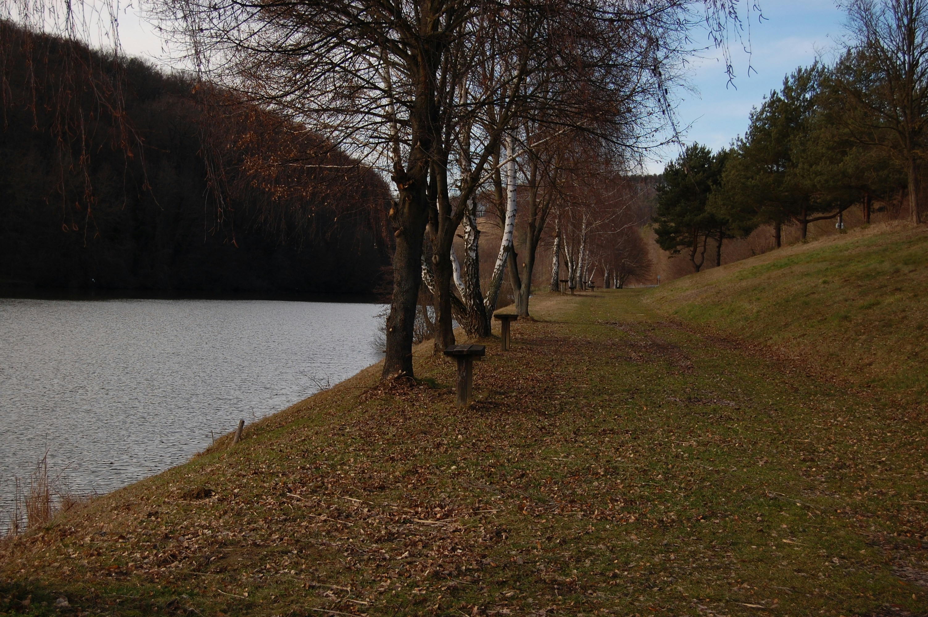 Photo by tribuletto