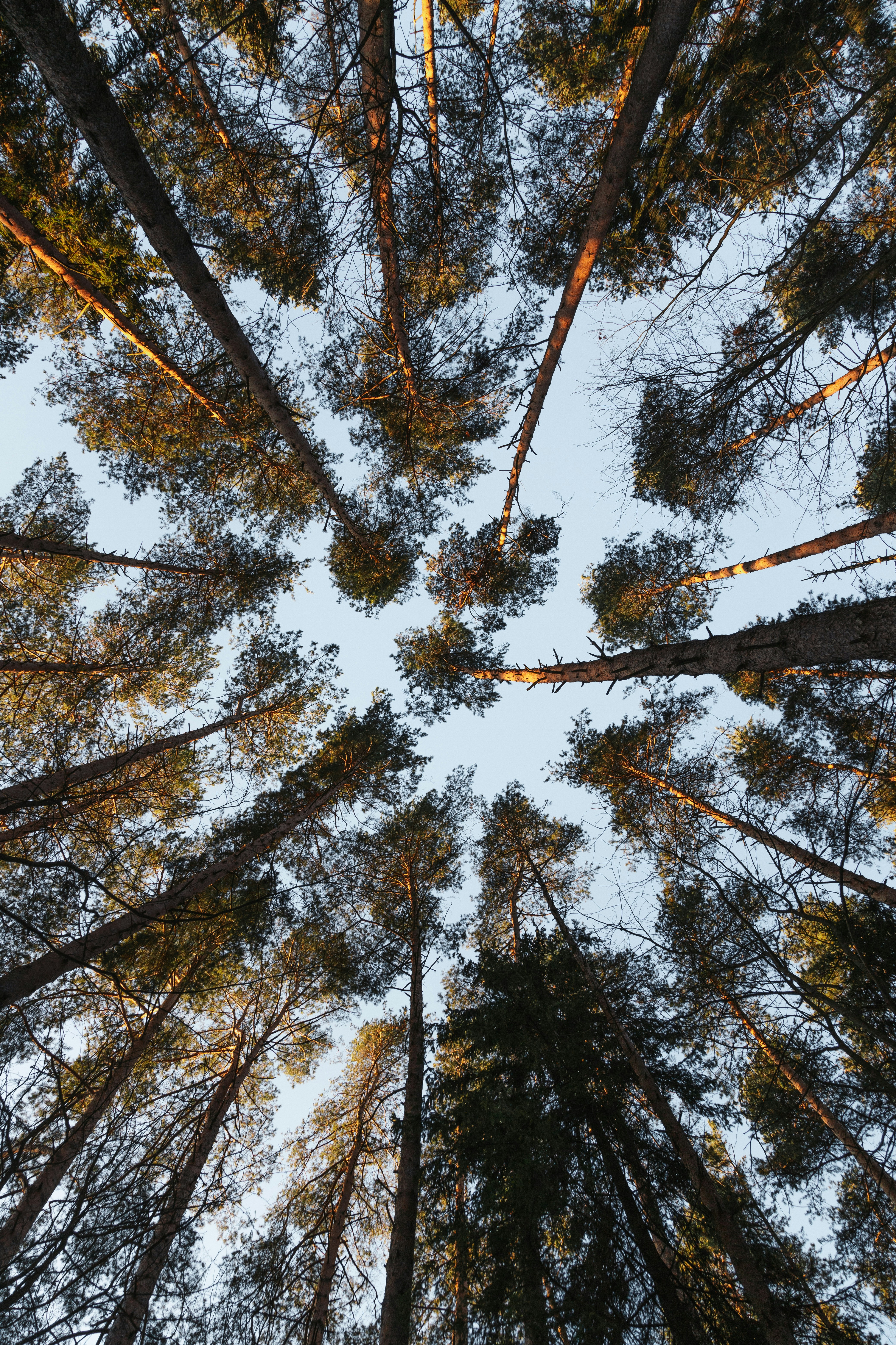 Photo by nikita_pishchugin