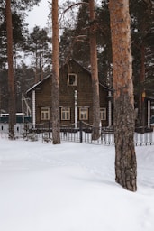 a cabin in the woods with snow on the ground