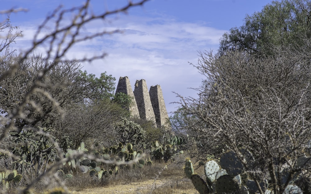 a dirt road surrounded by trees and rocks