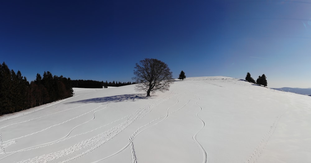 a snow covered hill with a tree on top of it