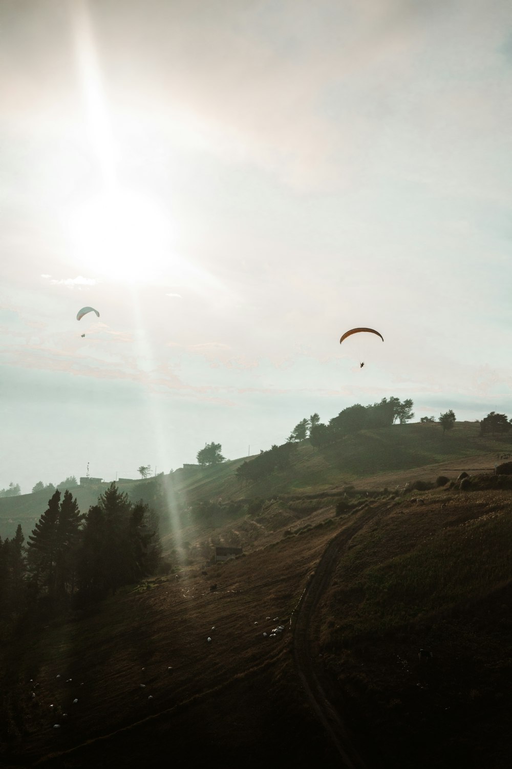 a couple of kites that are flying in the sky