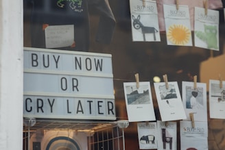 A storefront window display features a large sign with bold letters that reads 'Buy Now or Cry Later'. Above the sign, there are small cards clipped with clothespins, displaying illustrations and artwork, including a donkey, a sun, and various landscapes. The scene includes some merchandise, hinting at a retail environment.