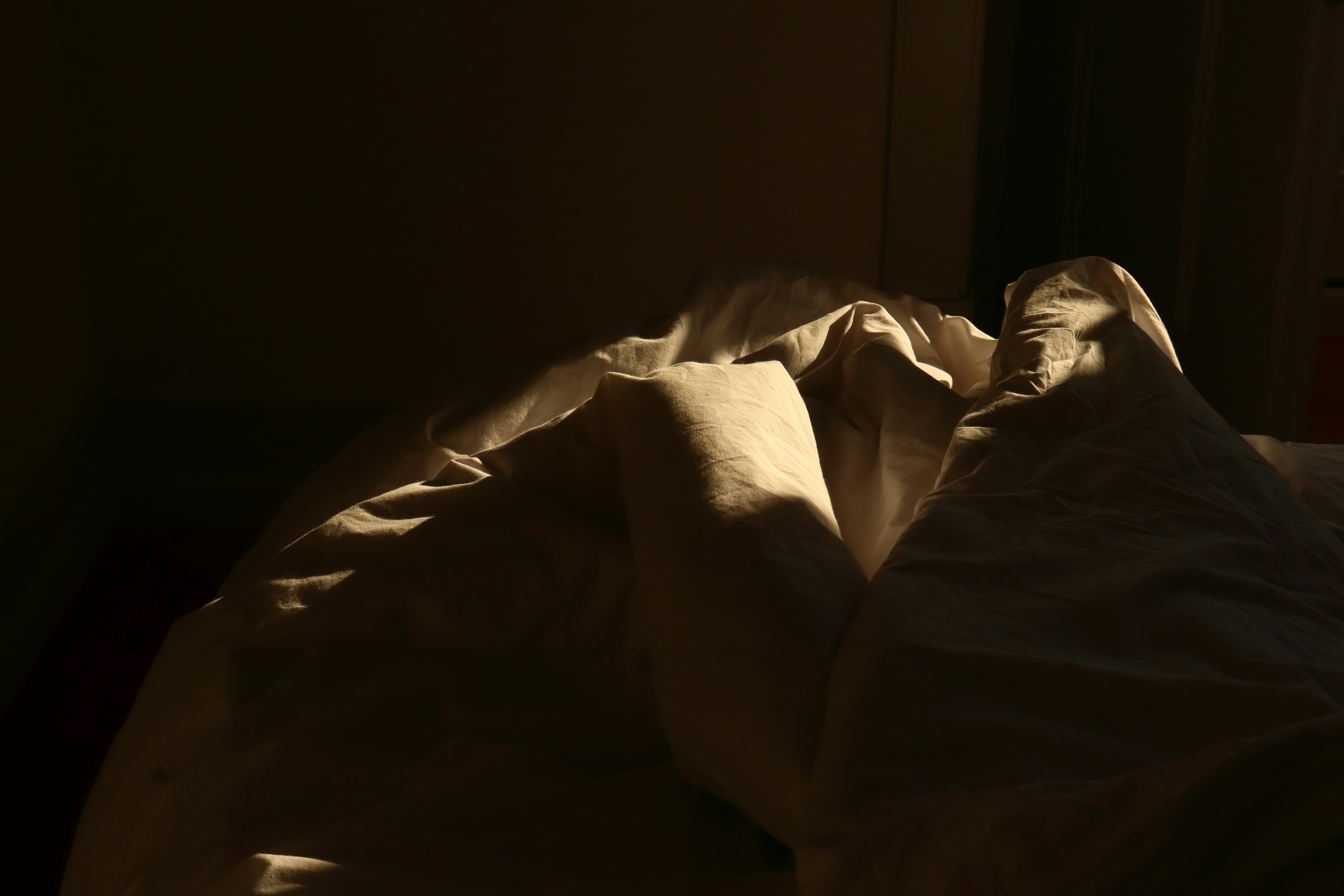 photo-1644777787008-8a8ab8870bd9?ixid=M3wxMjA3fDB8MXxzZWFyY2h8NHx8Z2FuJTIwZW5nJTIwc2VuZ3xlbnwwfHx8fDE3NTU2NzYwOTN8MA\u0026ixlib=rb-4.1.0