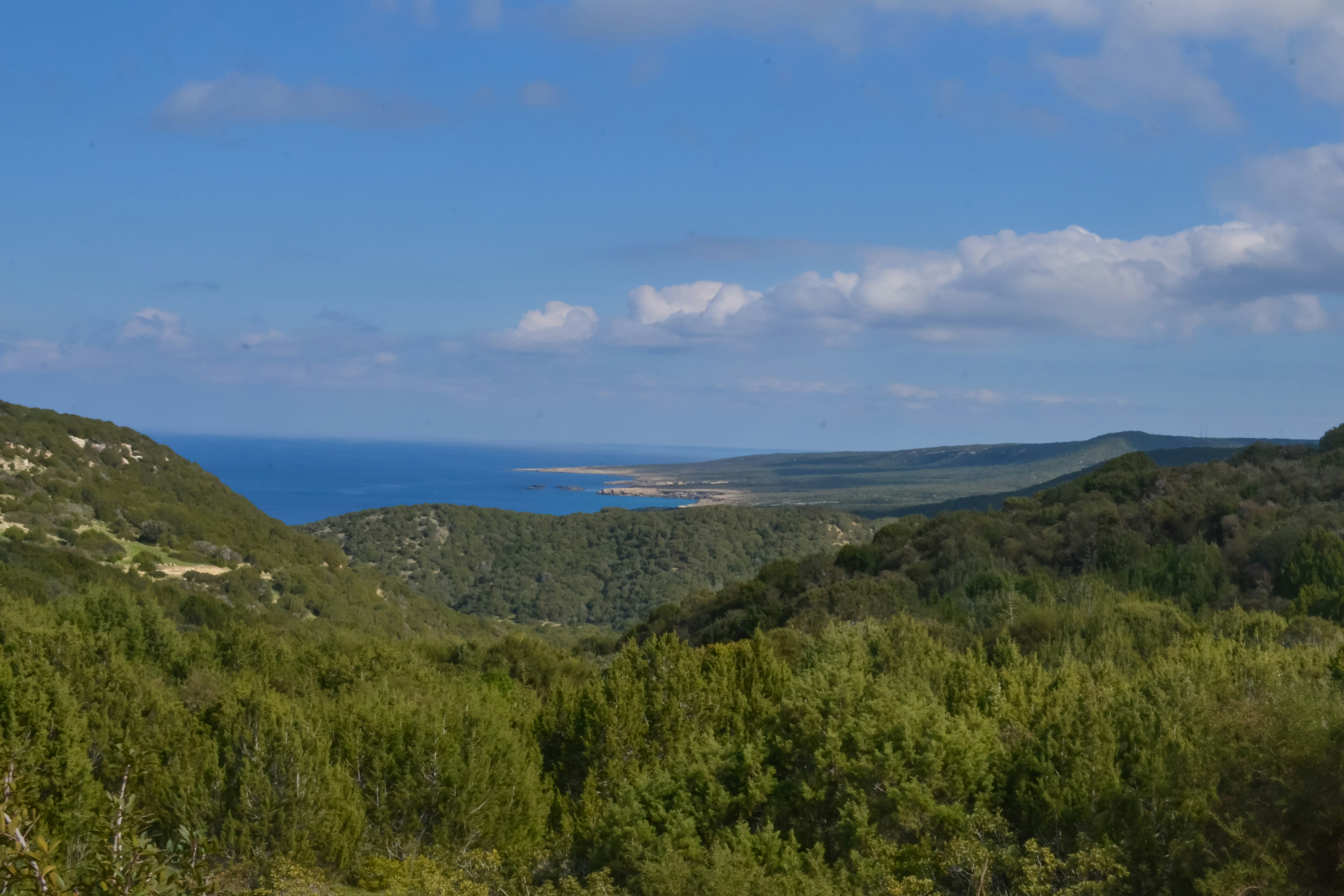 Photo by felixgething