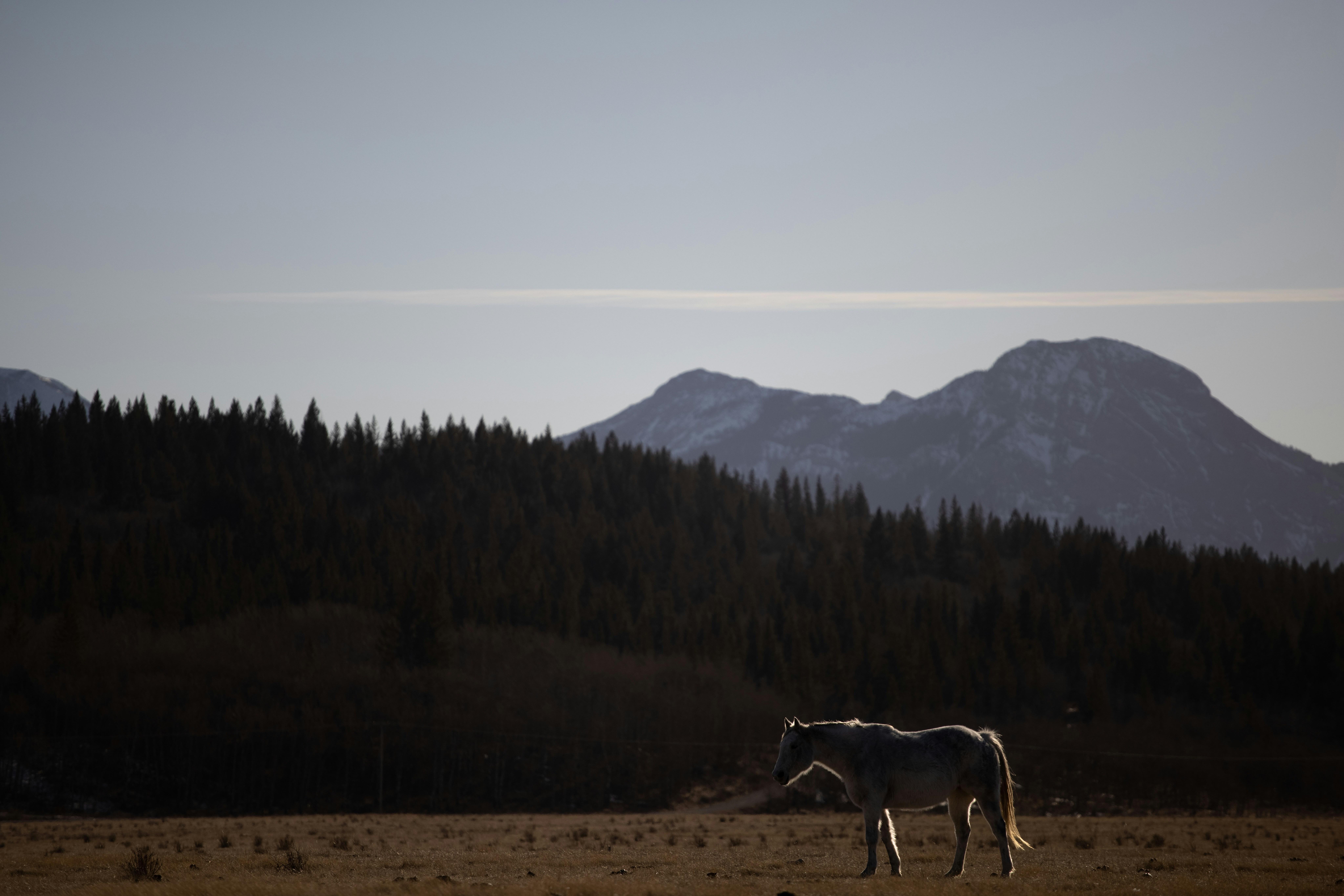 Photo by capturesawyer