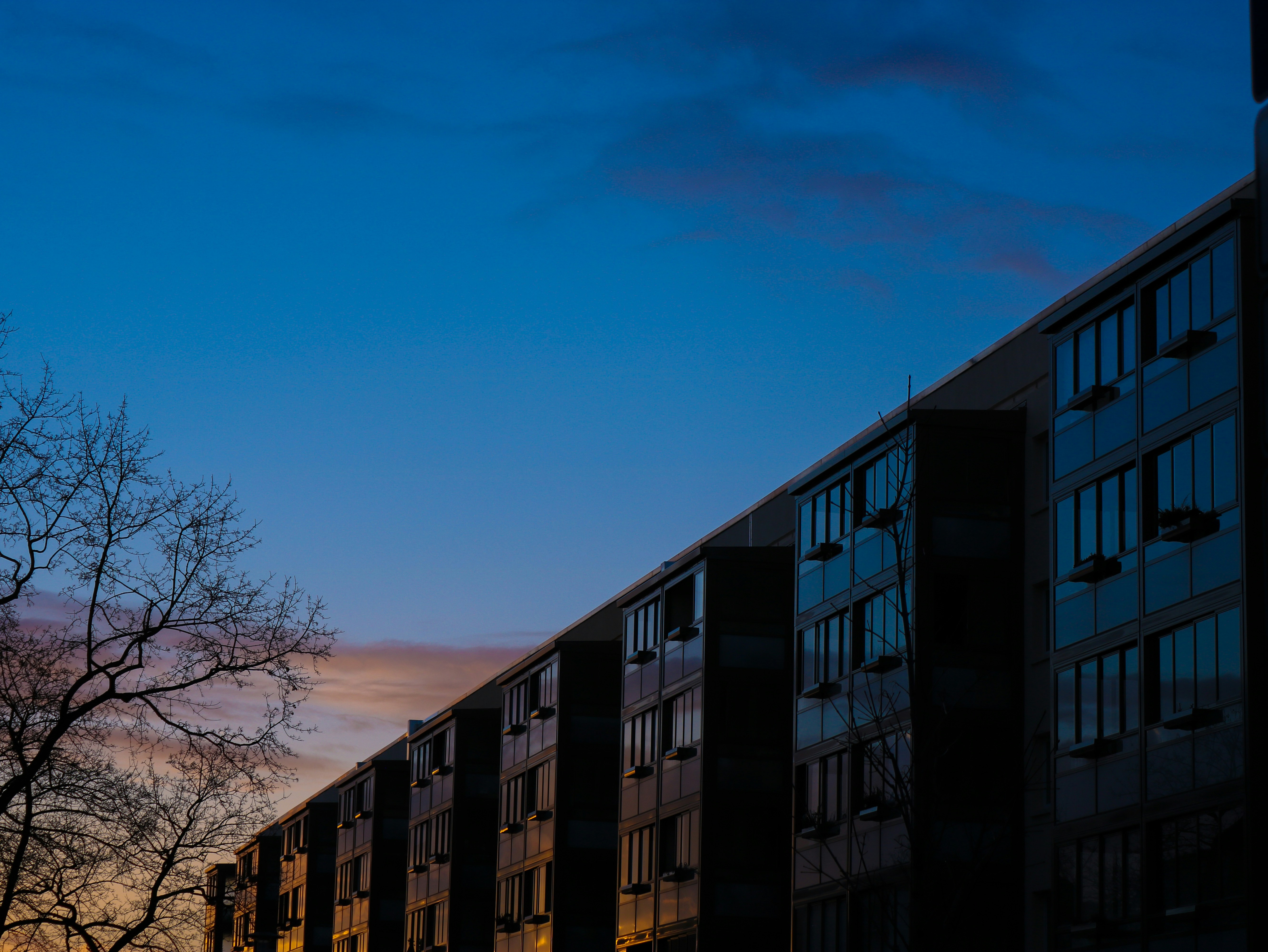 Photo by thee_photography_